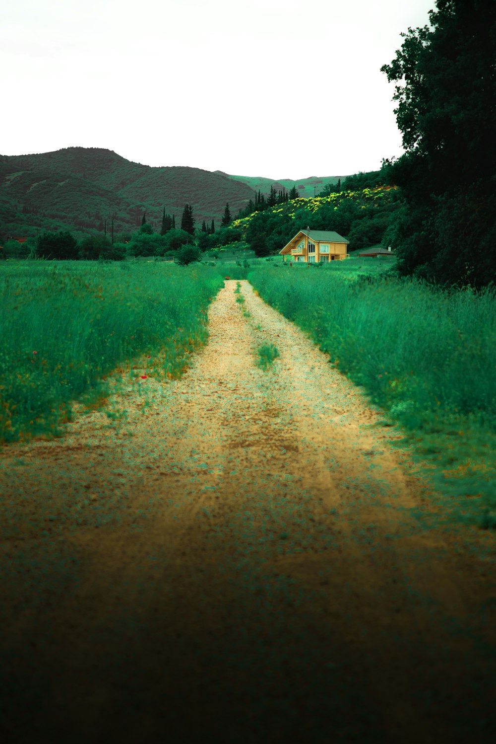 a dirt road with a house in the distance