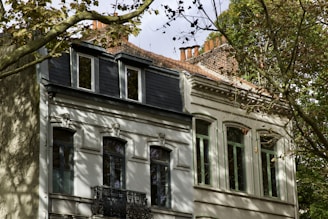 A classic European-style residential building with ornate architectural details, featuring multiple windows and balconies. The building is partially obscured by tree branches, casting dappled shadows on the facade. The roof has a mix of slate tiles and red bricks with several chimney stacks visible.