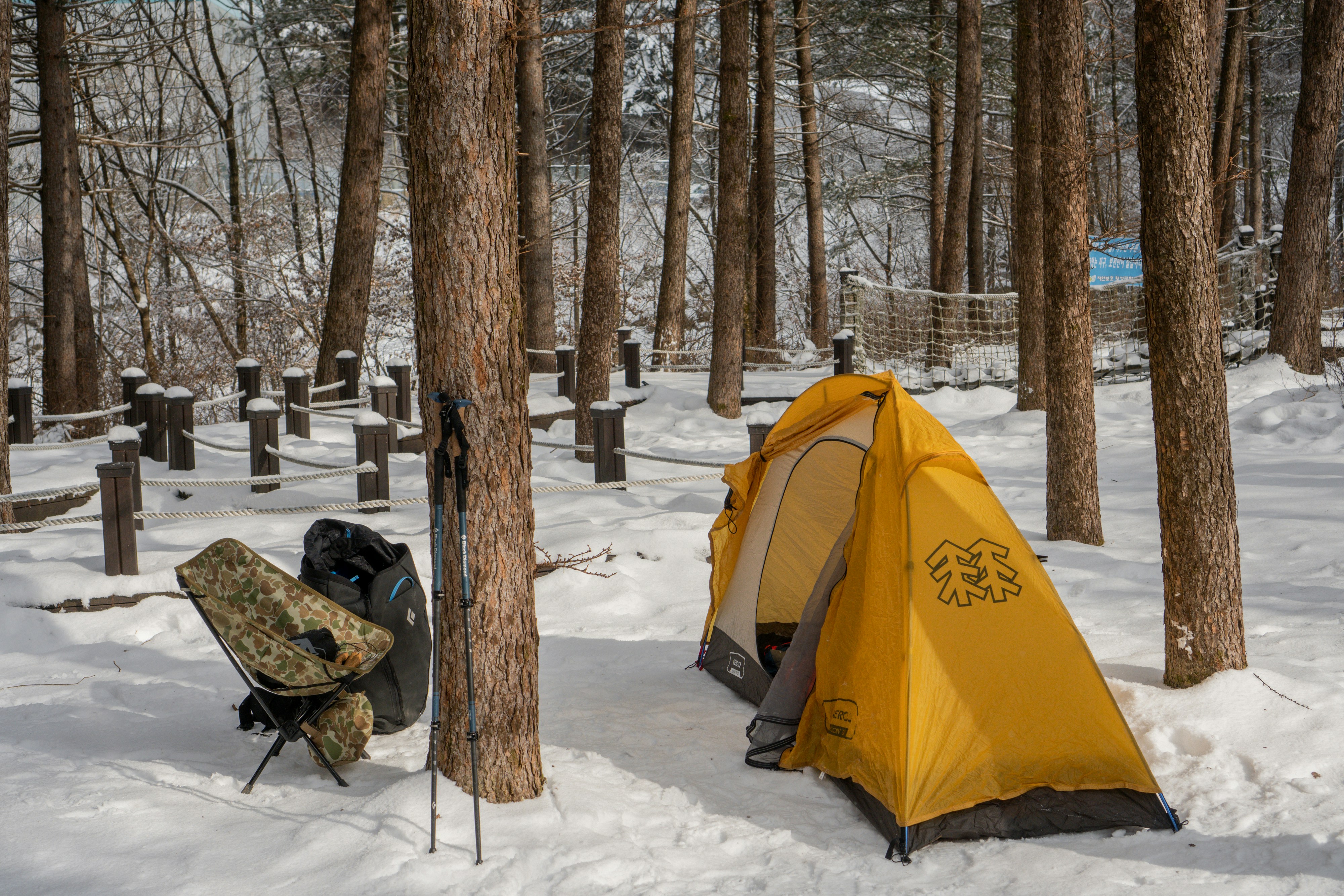 Forest camping tent, ilustrasi artikel Smart Camping: Essential Gadgets for the Modern Outdoor Enthusiast 7