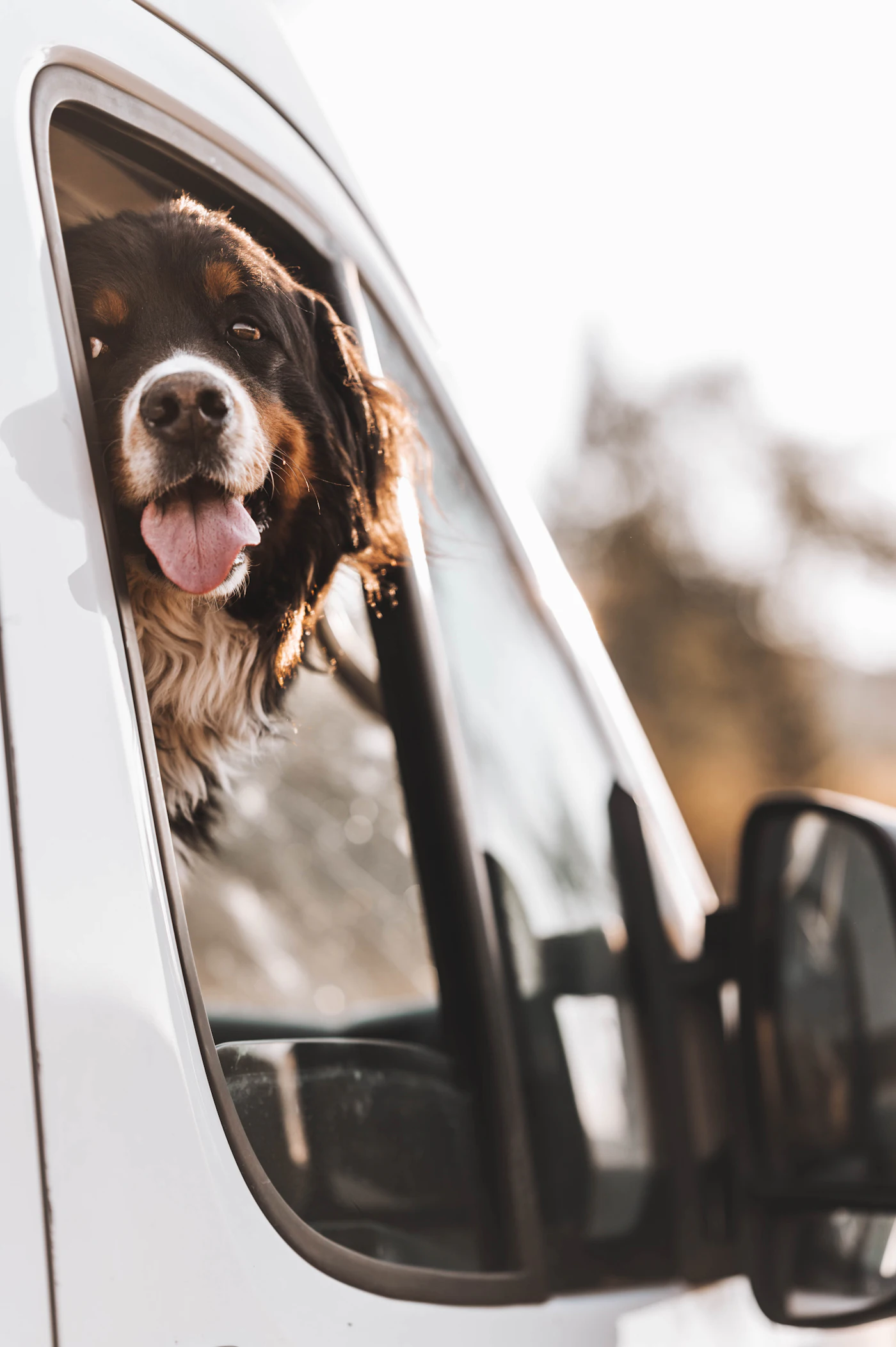 A mobile pet grooming van ready for house calls
