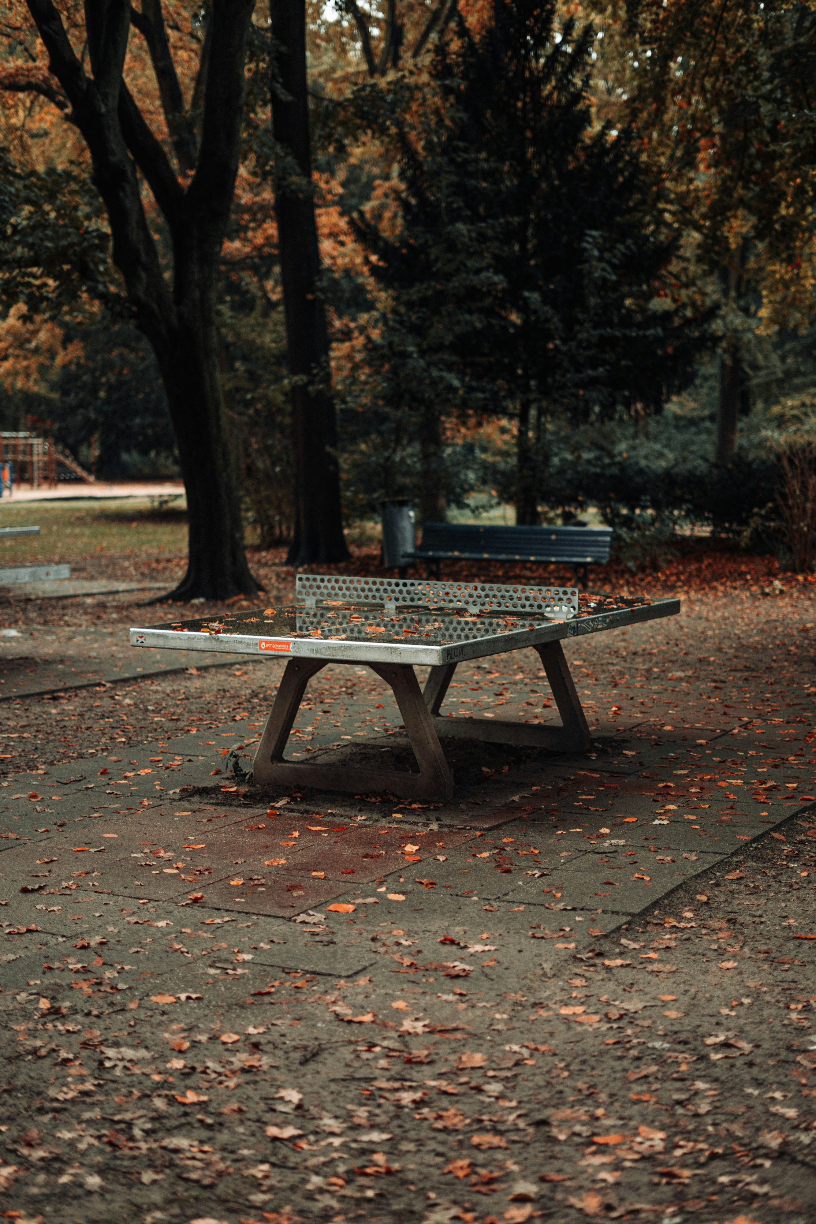 Photo by robert_lens