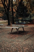 A ping pong table stands outdoors in a park surrounded by trees. The ground is covered with fallen autumn leaves, adding a rustic touch to the setting. The background features tall trees with autumn foliage, creating a serene and peaceful atmosphere.