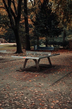 A ping pong table stands outdoors in a park surrounded by trees. The ground is covered with fallen autumn leaves, adding a rustic touch to the setting. The background features tall trees with autumn foliage, creating a serene and peaceful atmosphere.