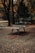 A ping pong table stands outdoors in a park surrounded by trees. The ground is covered with fallen autumn leaves, adding a rustic touch to the setting. The background features tall trees with autumn foliage, creating a serene and peaceful atmosphere.