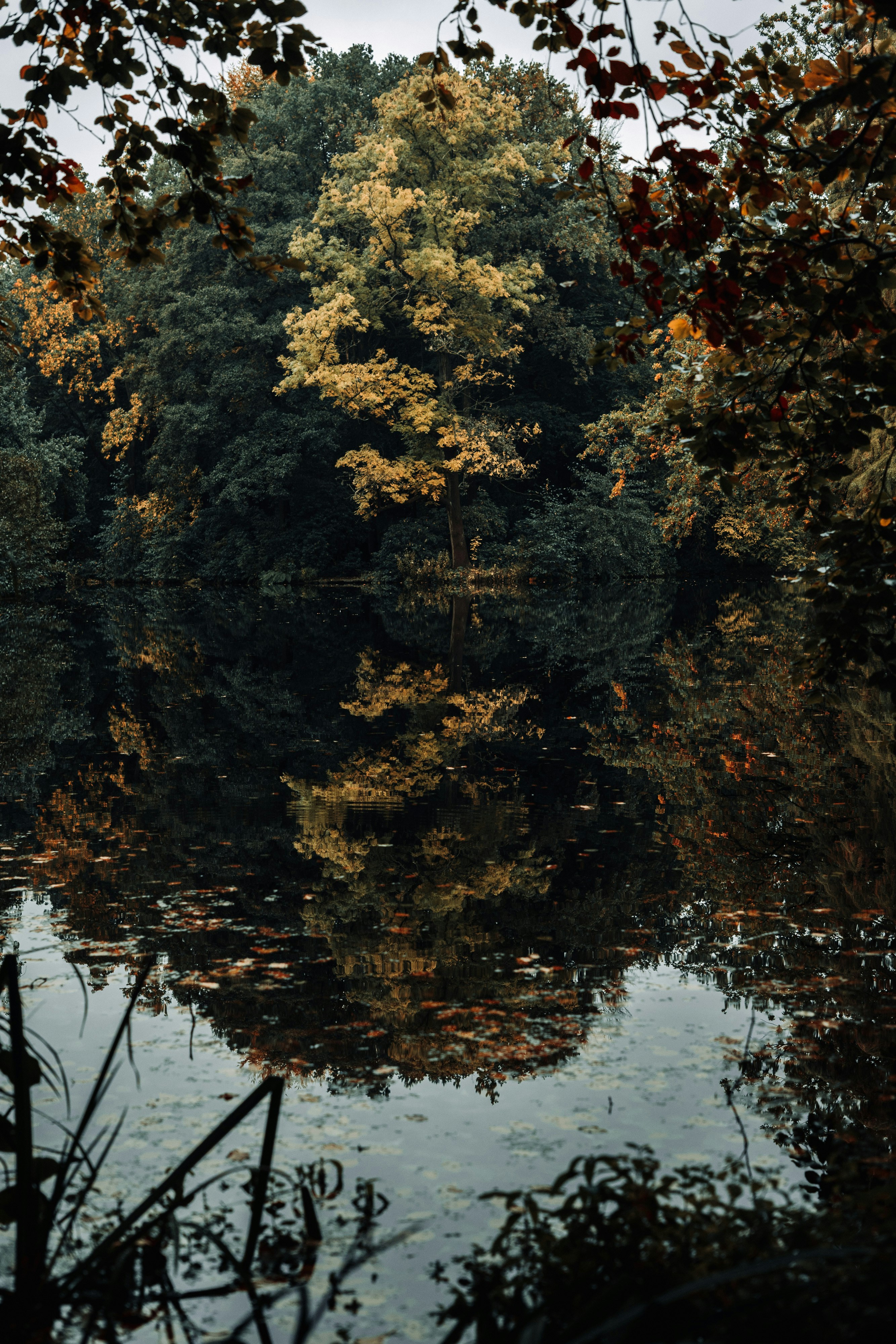 Photo by robert_lens