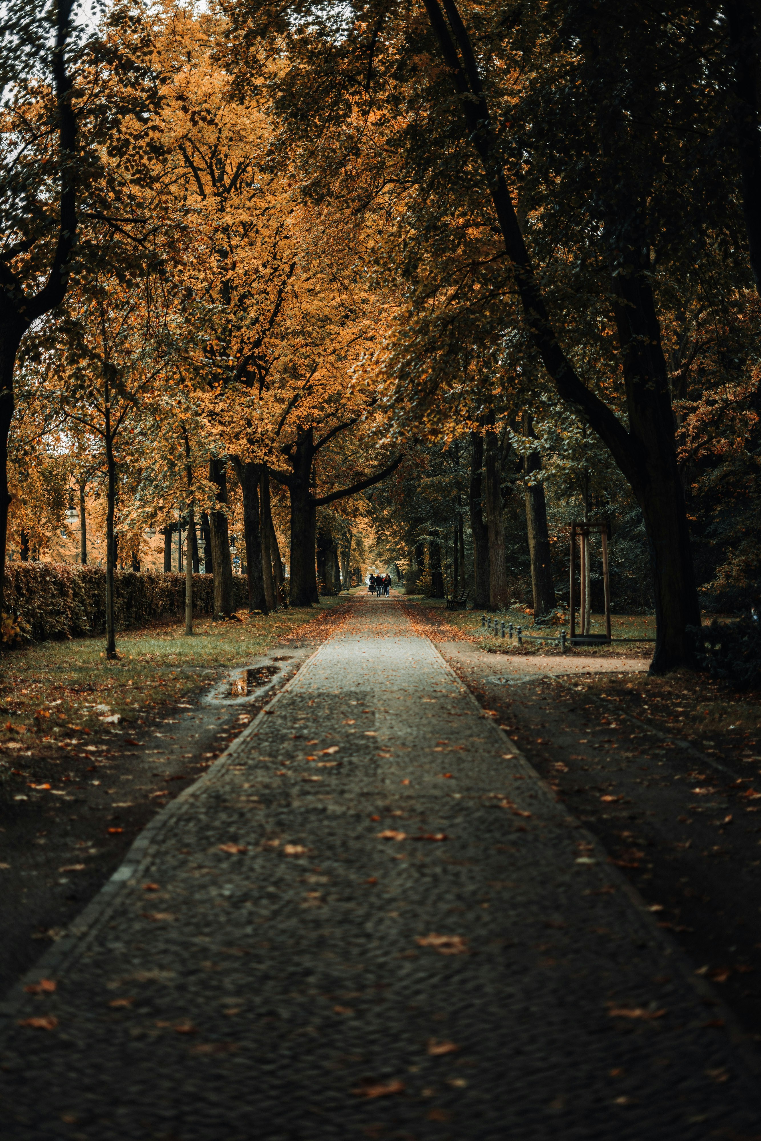 Photo by robert_lens