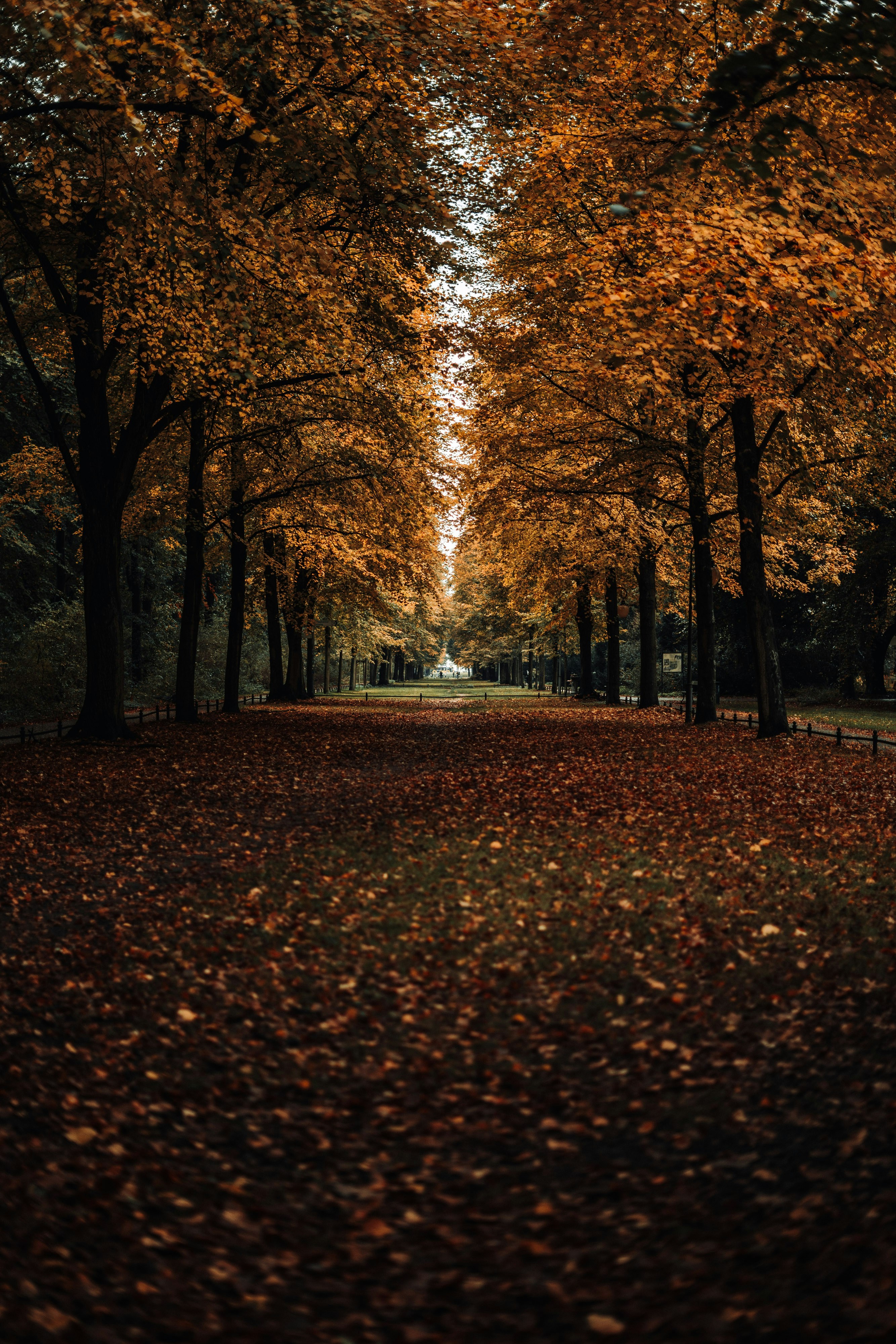 Photo by robert_lens