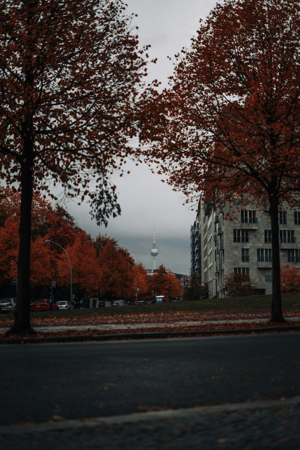 two trees with red leaves in front of a building