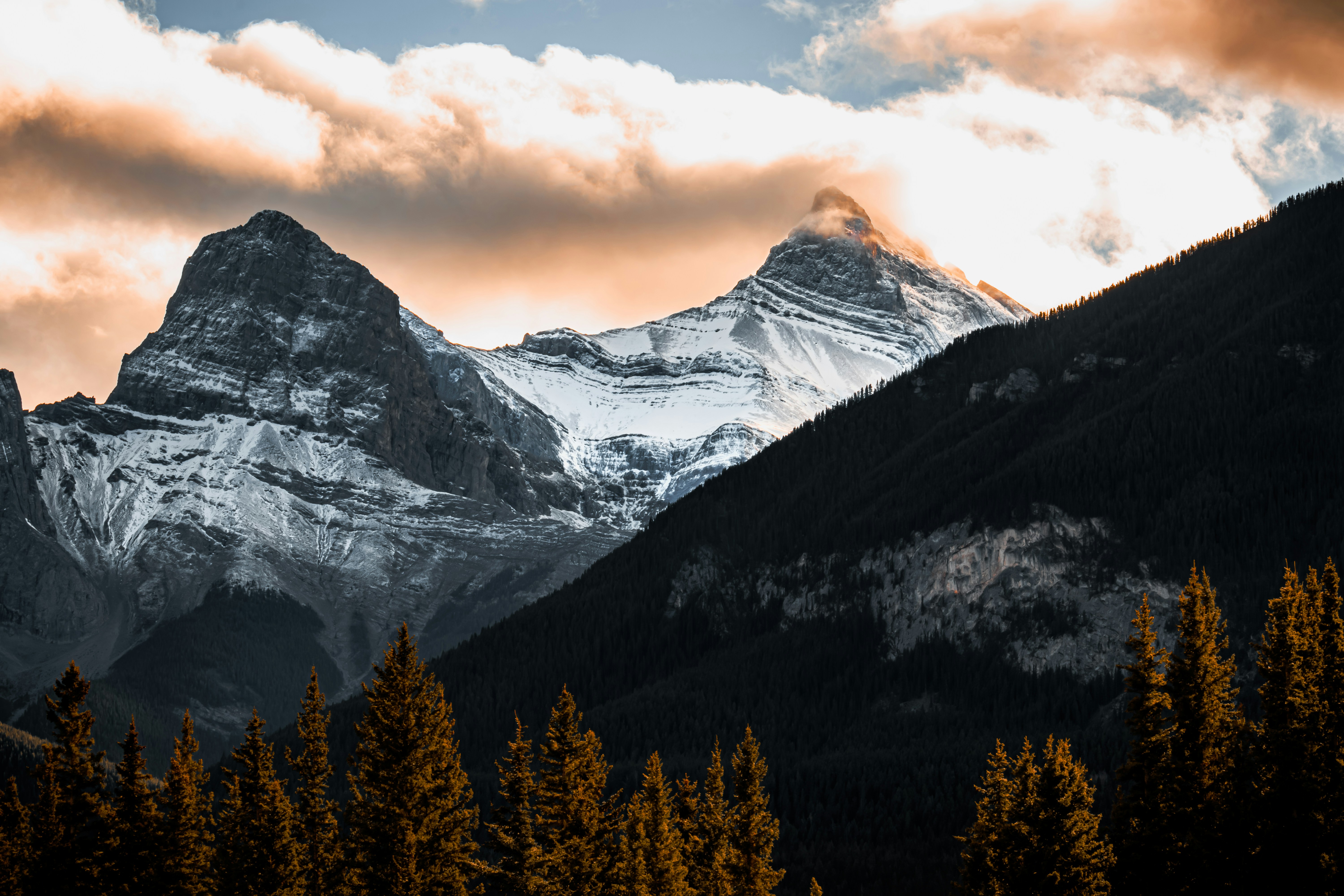 Photo by brice_cooper18