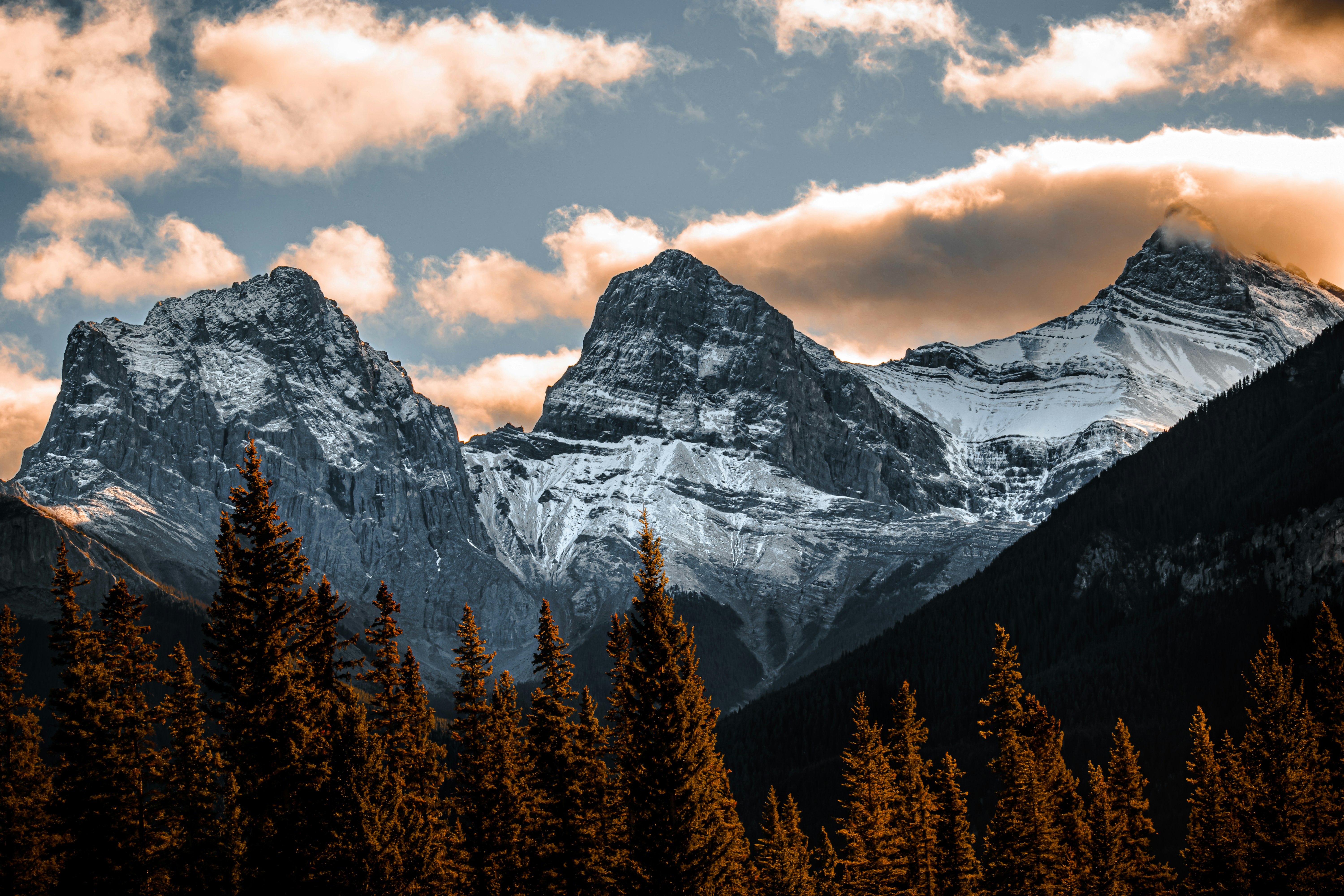 Photo by brice_cooper18