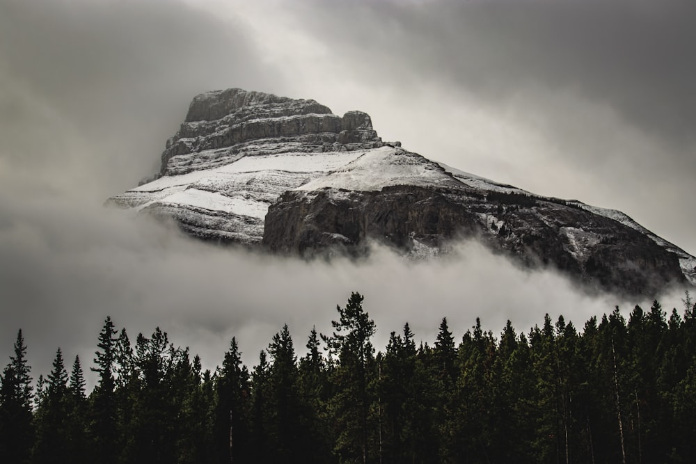 a mountain covered in snow surrounded by trees