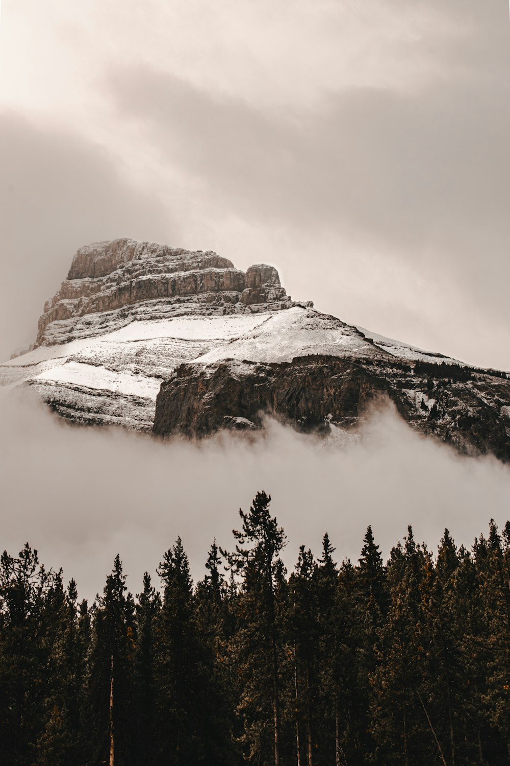 a mountain covered in snow surrounded by trees