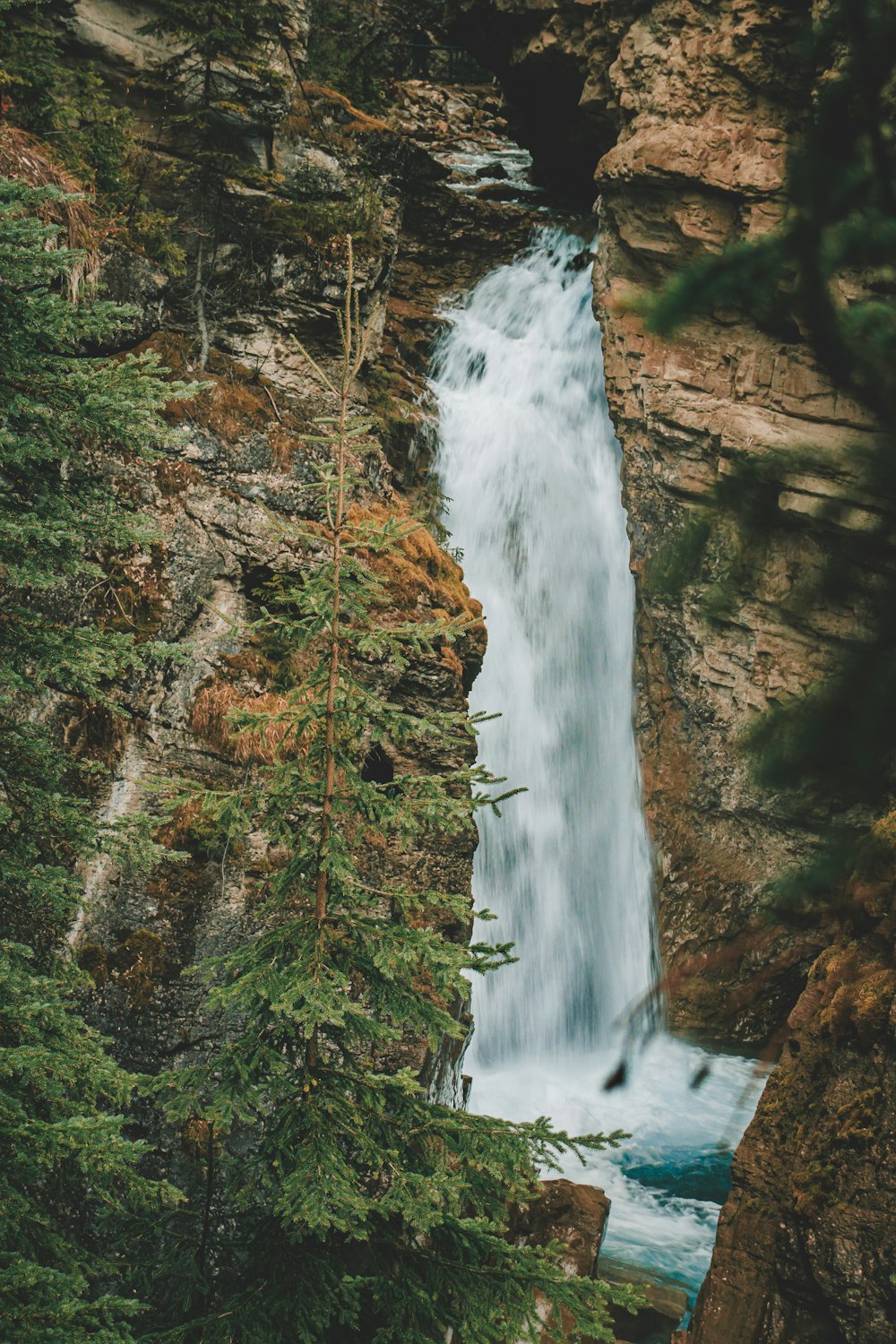 a waterfall in the middle of a forest