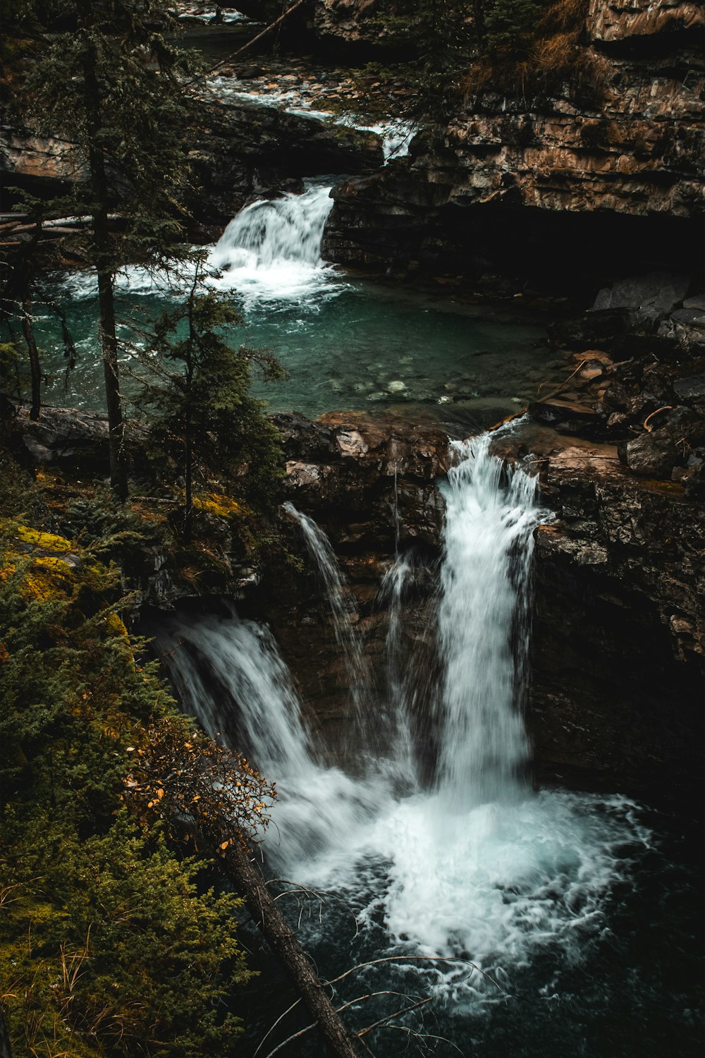 una piccola cascata in una foresta con molta acqua