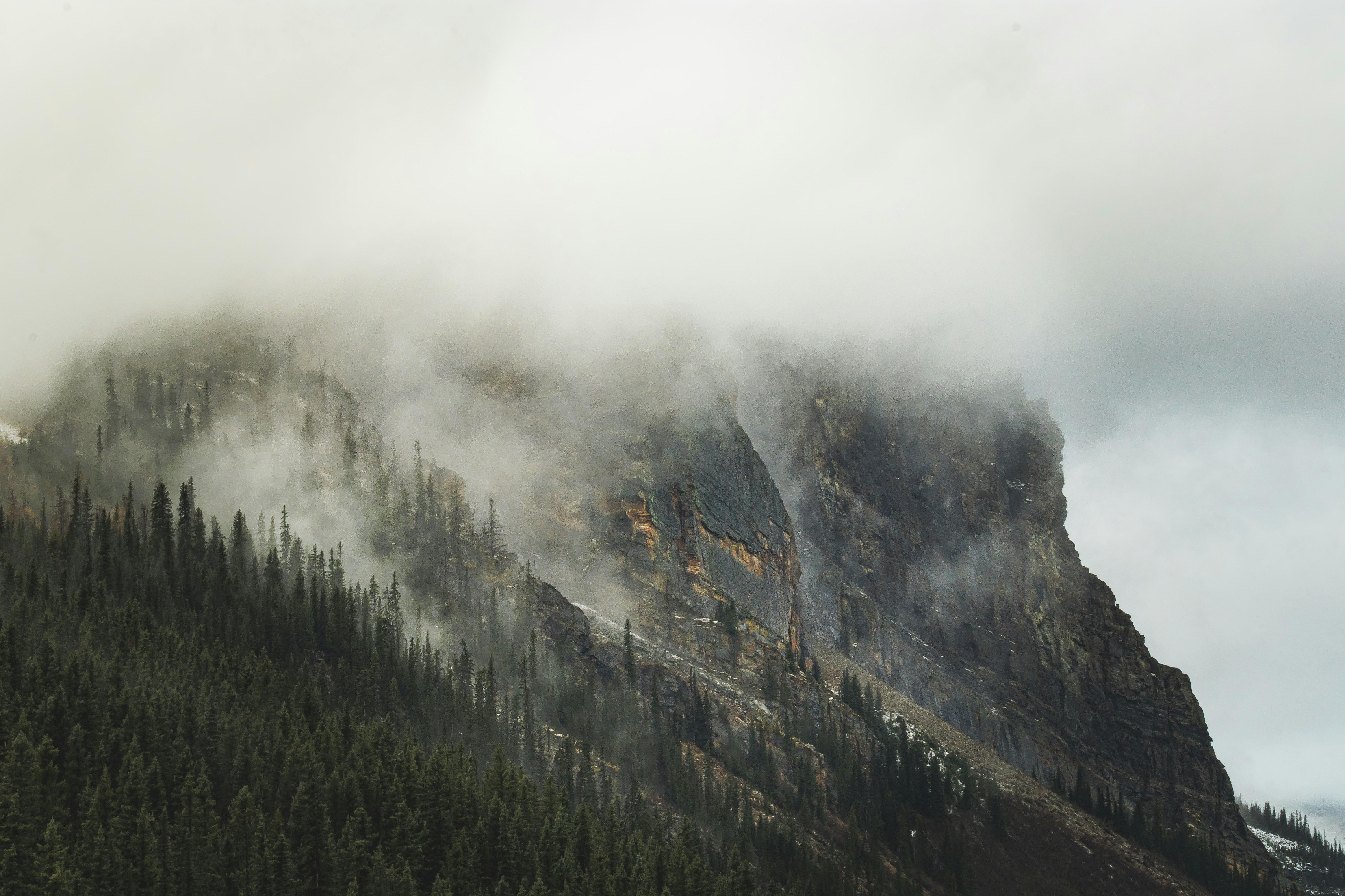 Photo by brice_cooper18