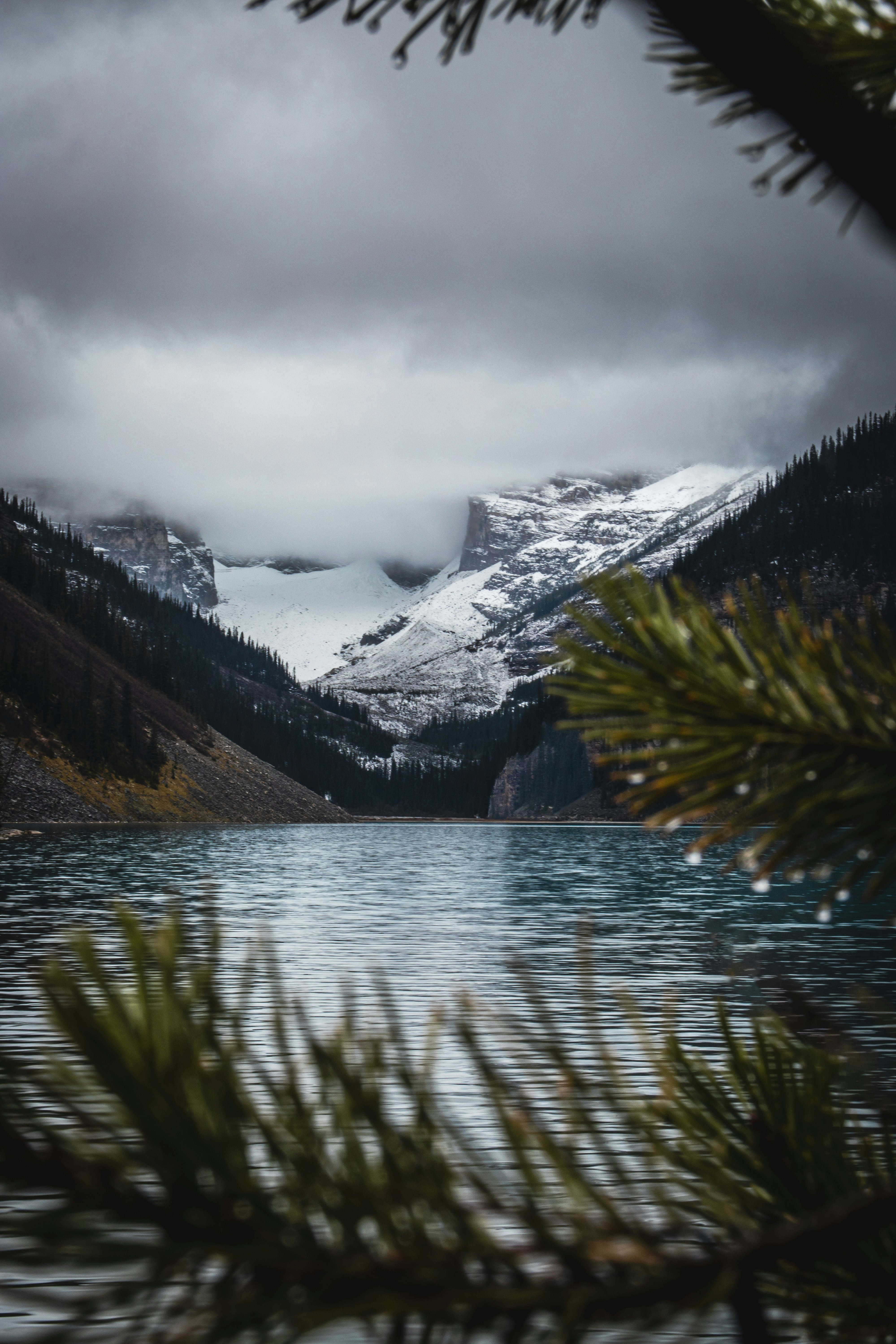 Photo by brice_cooper18