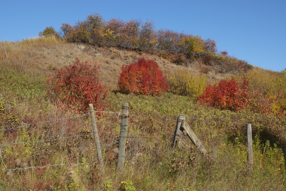 a field with a fence and a hill in the background