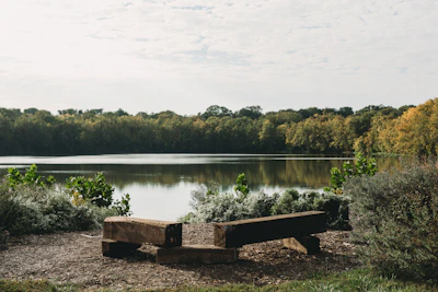 Guests seated on wooden benches facing the serene lake, framed by blooming greenery.