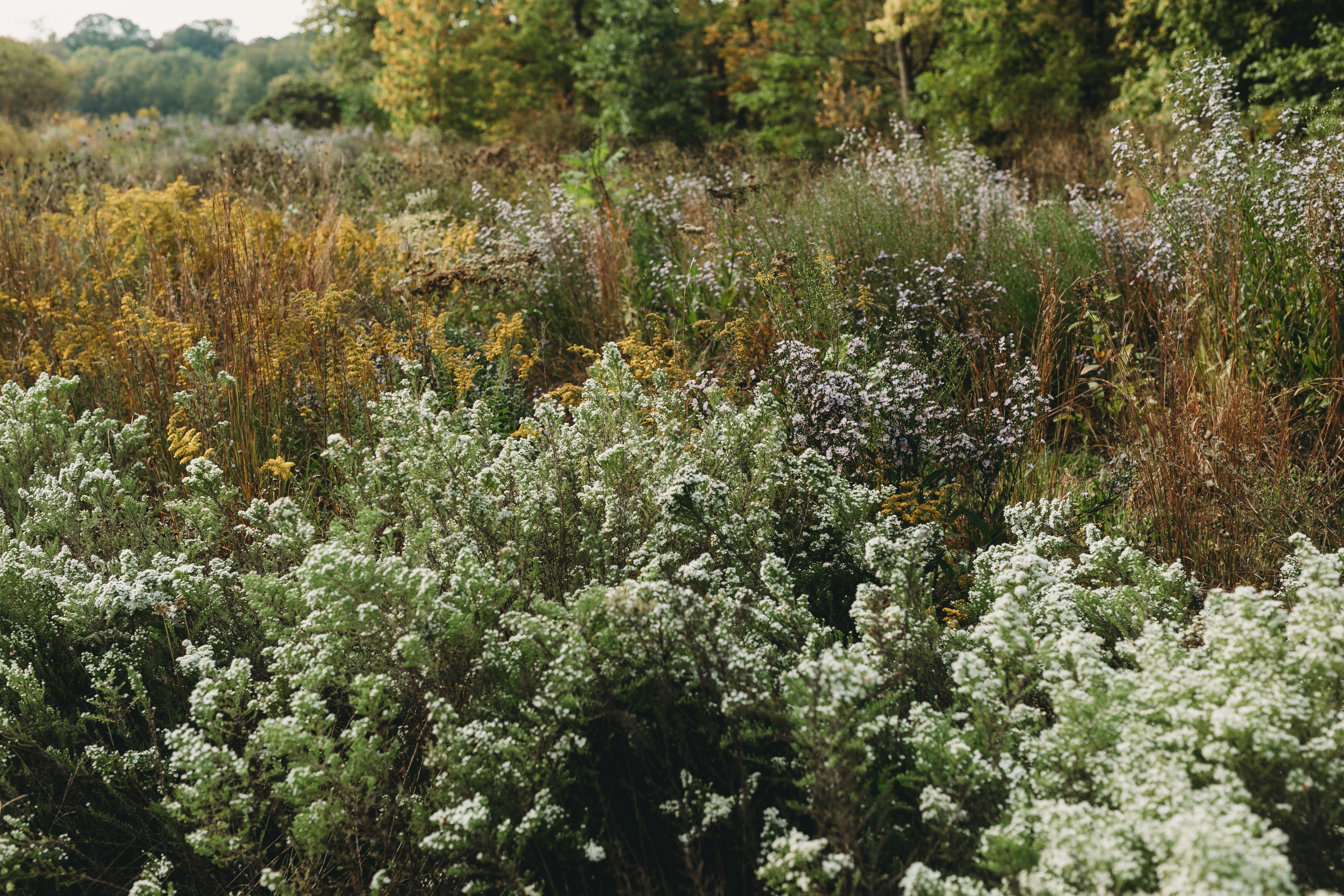 Photo by stevenvanelk