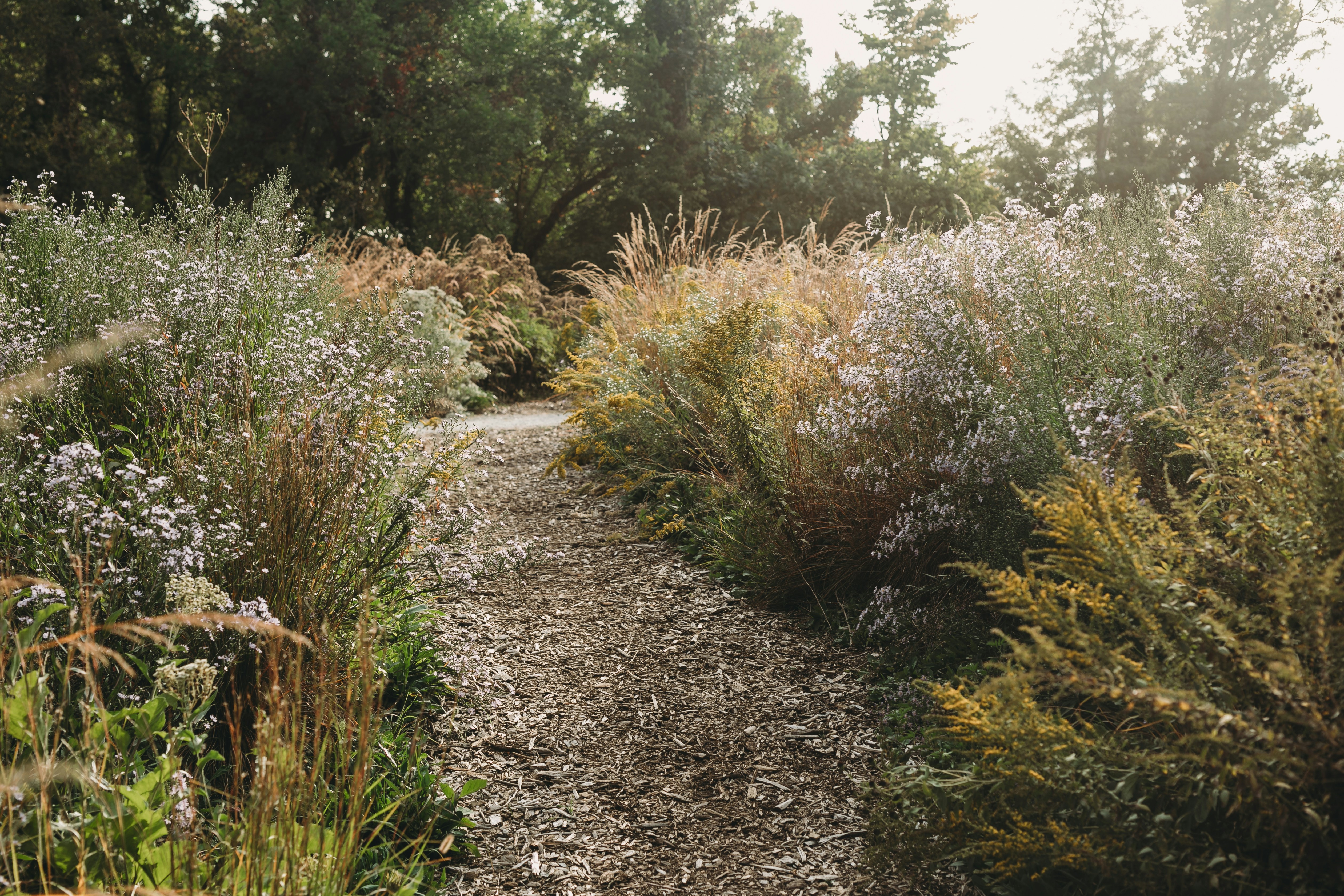 Photo by stevenvanelk