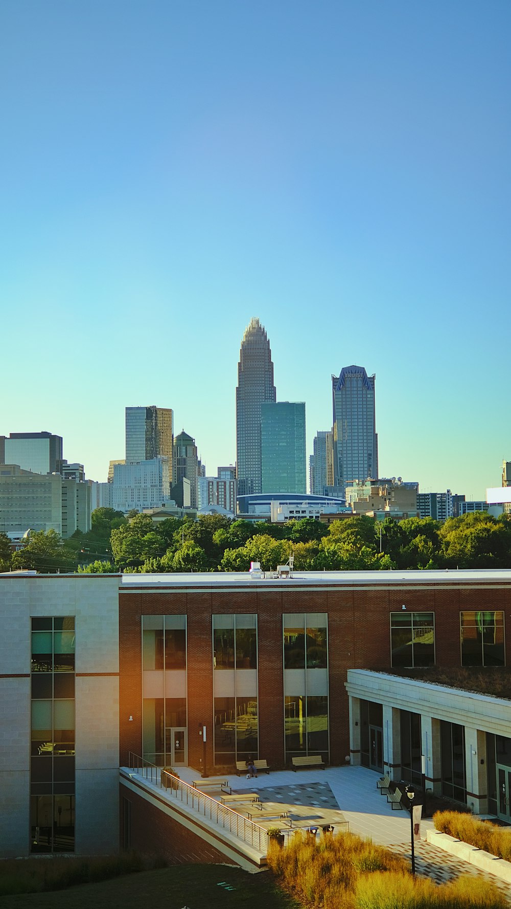 a view of a city skyline from a building