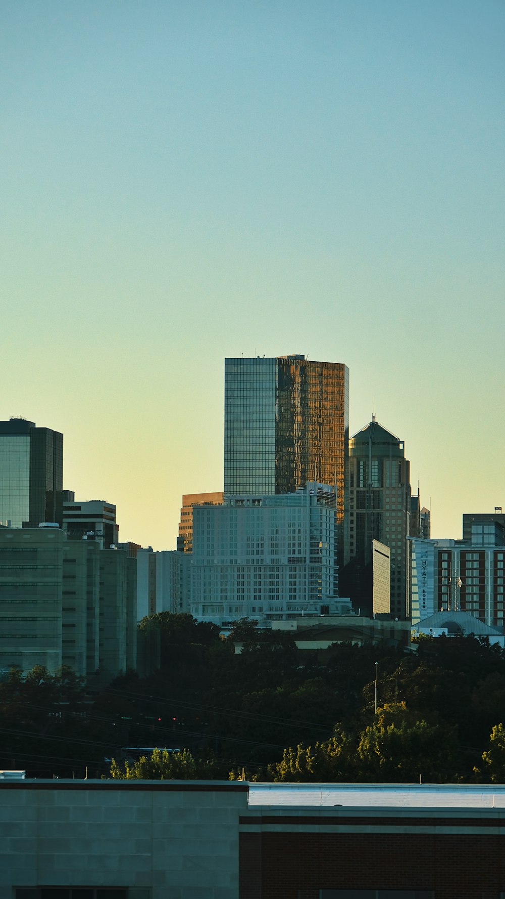 a view of a city skyline with a plane flying in the sky