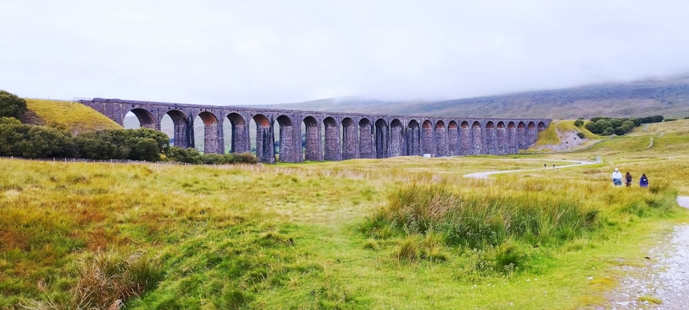 a train traveling over a bridge over a lush green field