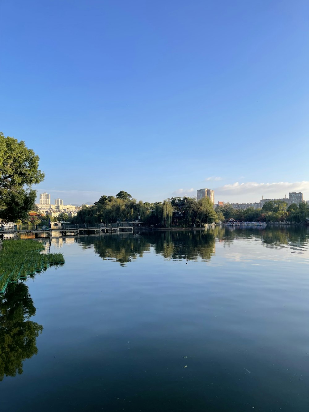 a body of water surrounded by trees and buildings