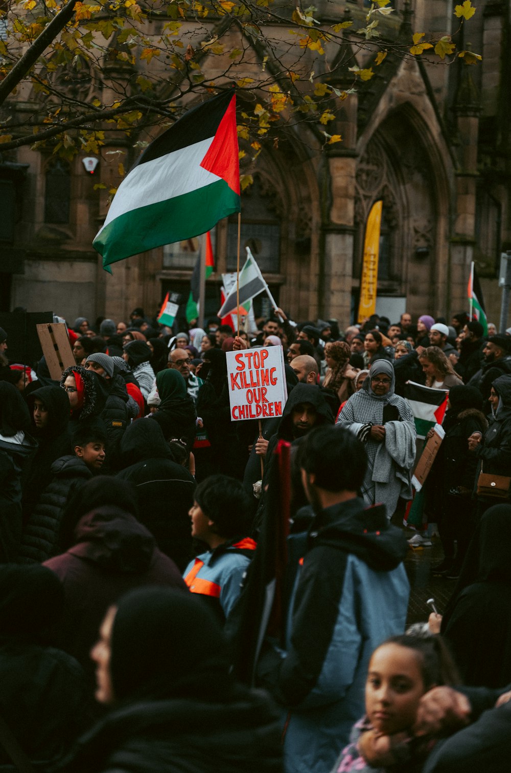 a large group of people holding flags and signs