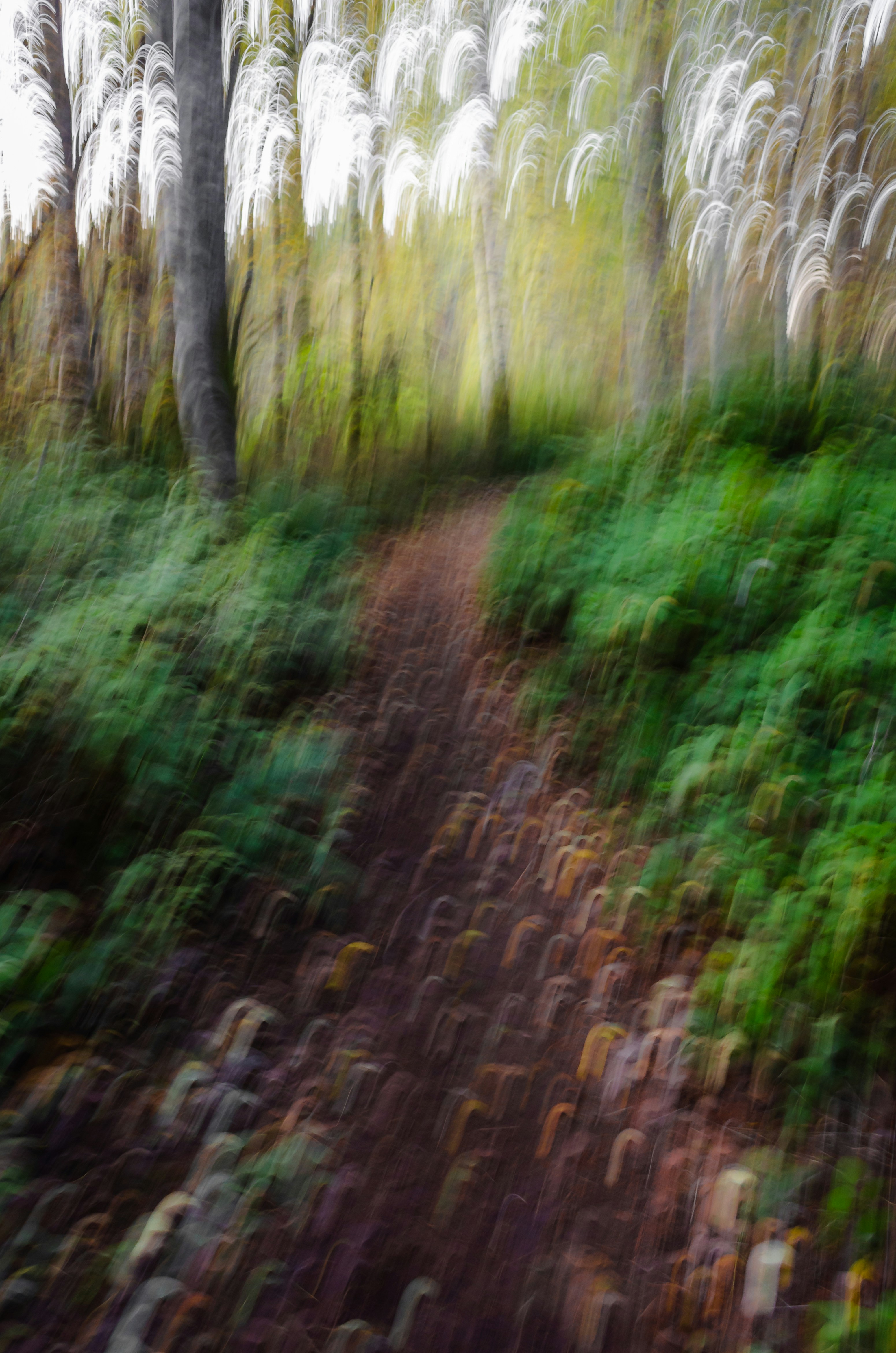 Photo by greg_rosenke