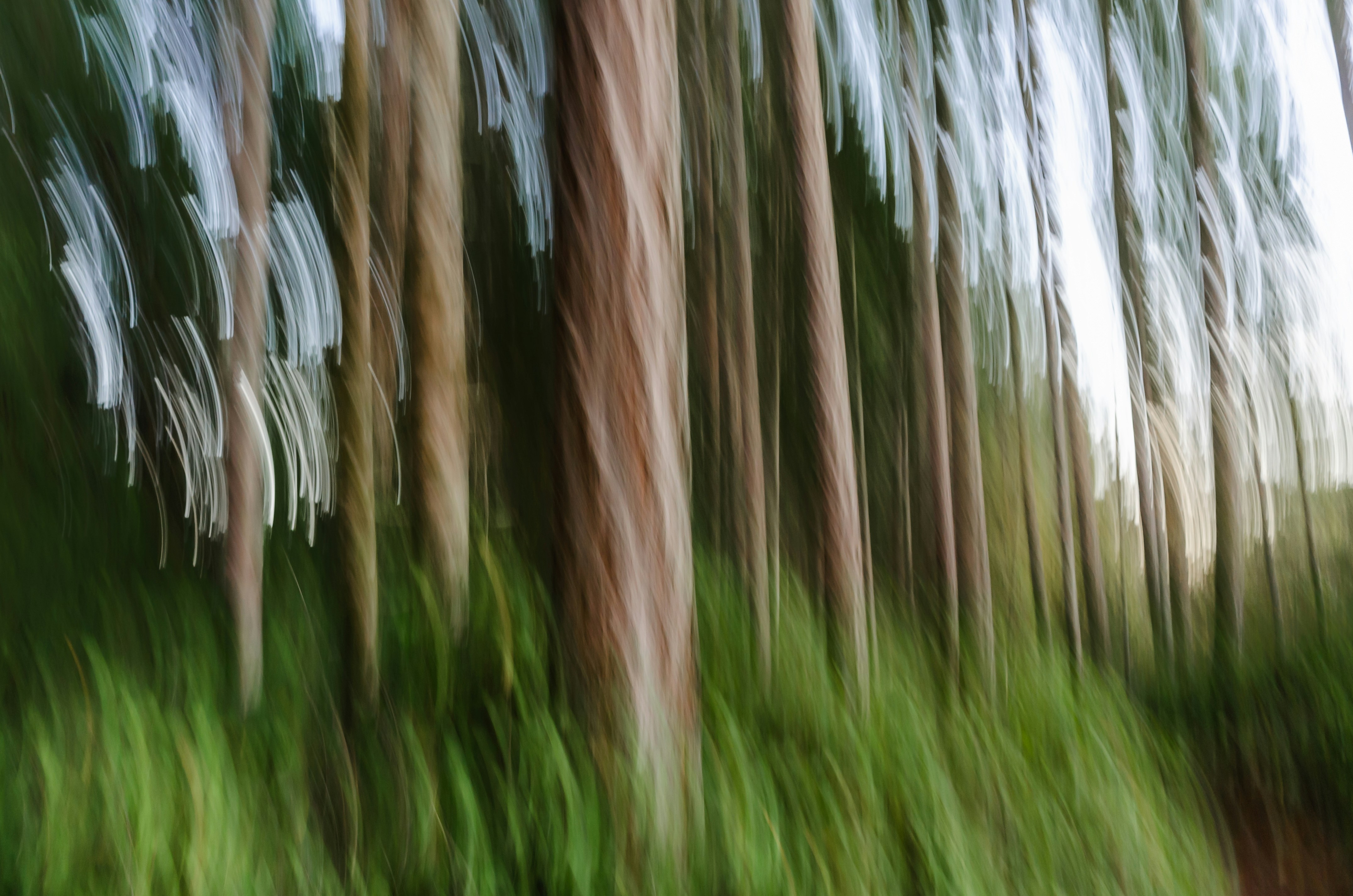 Photo by greg_rosenke