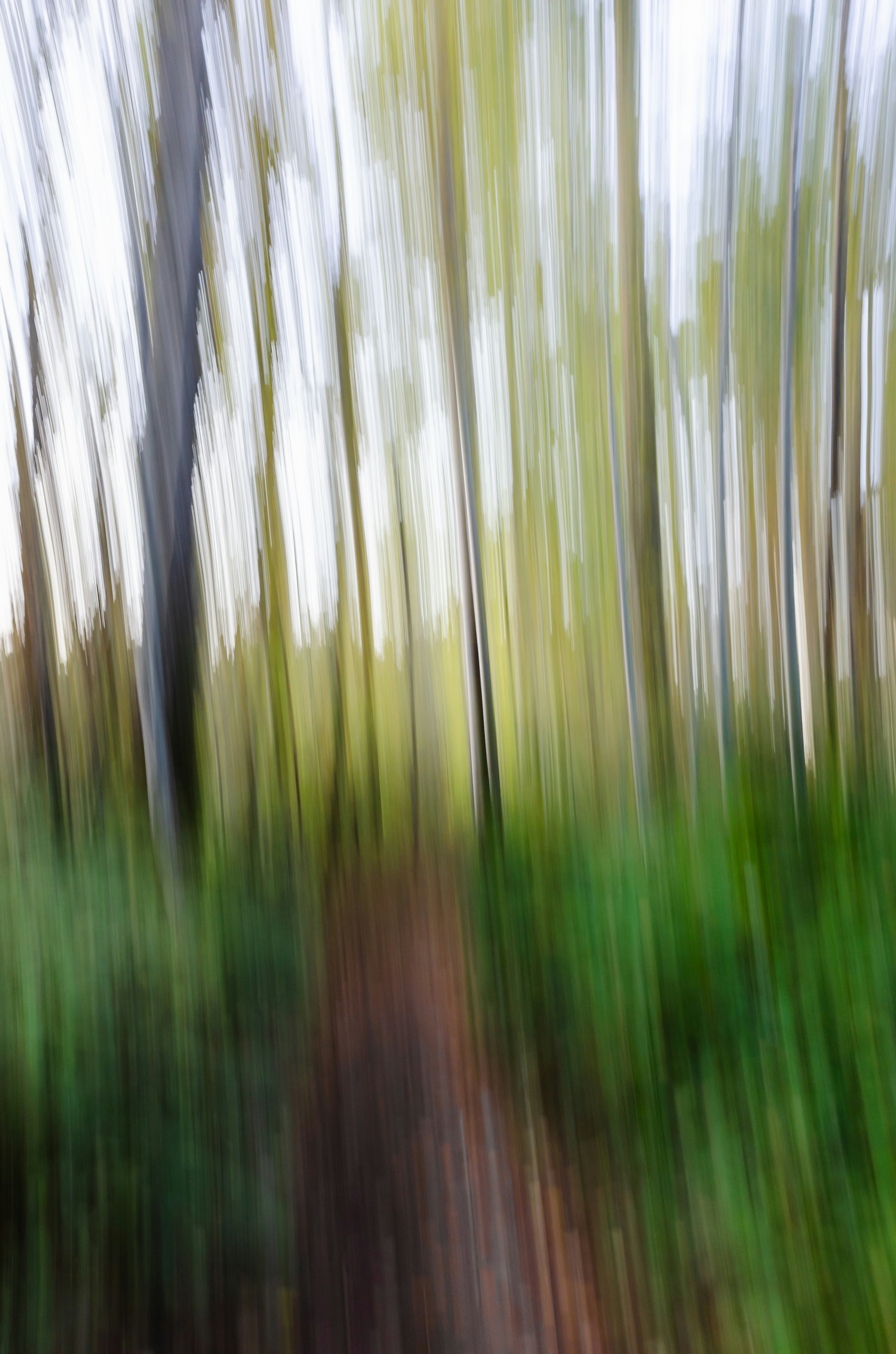 Photo by greg_rosenke