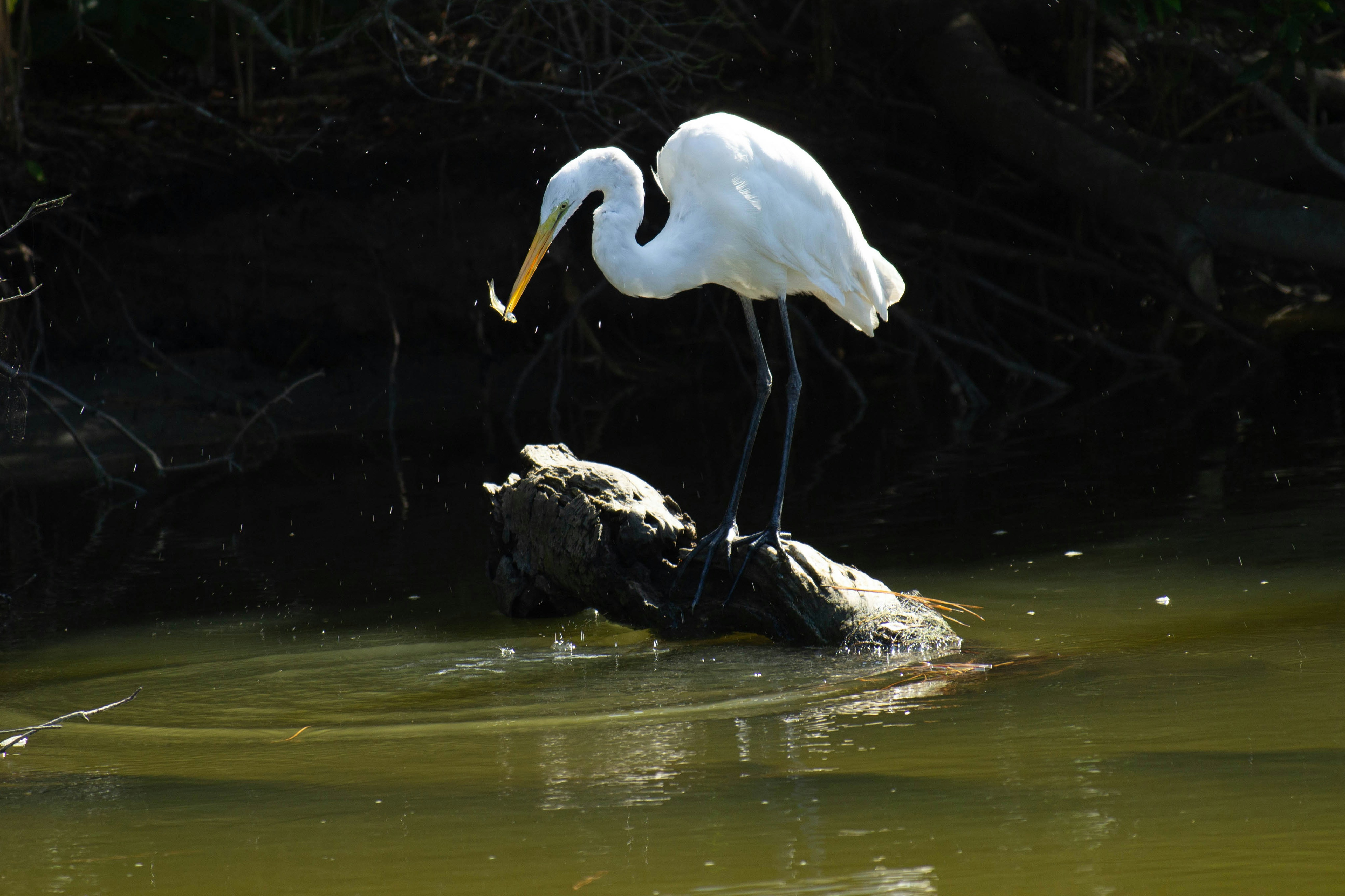 Photo by jennys_eye0