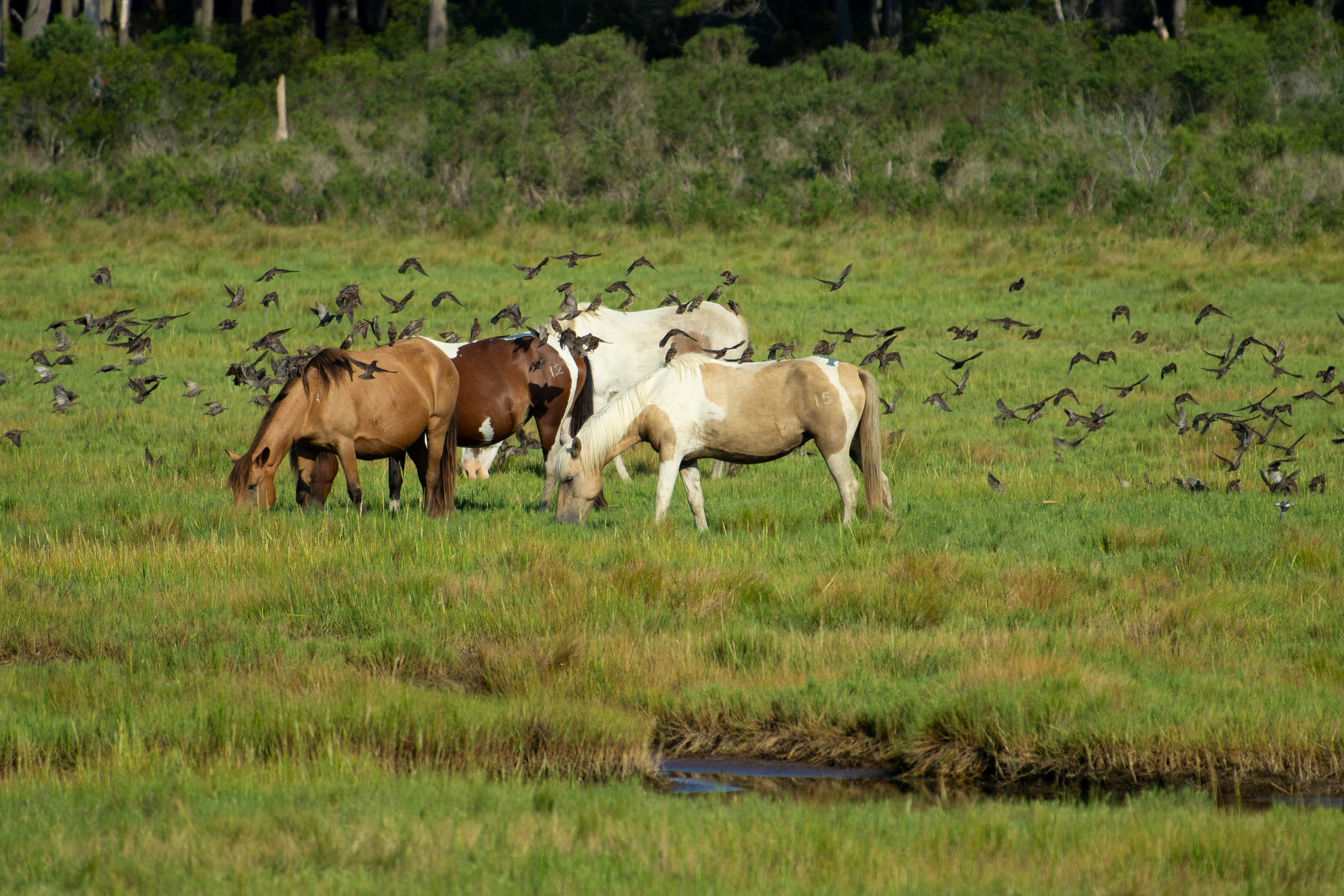 Photo by jennys_eye0