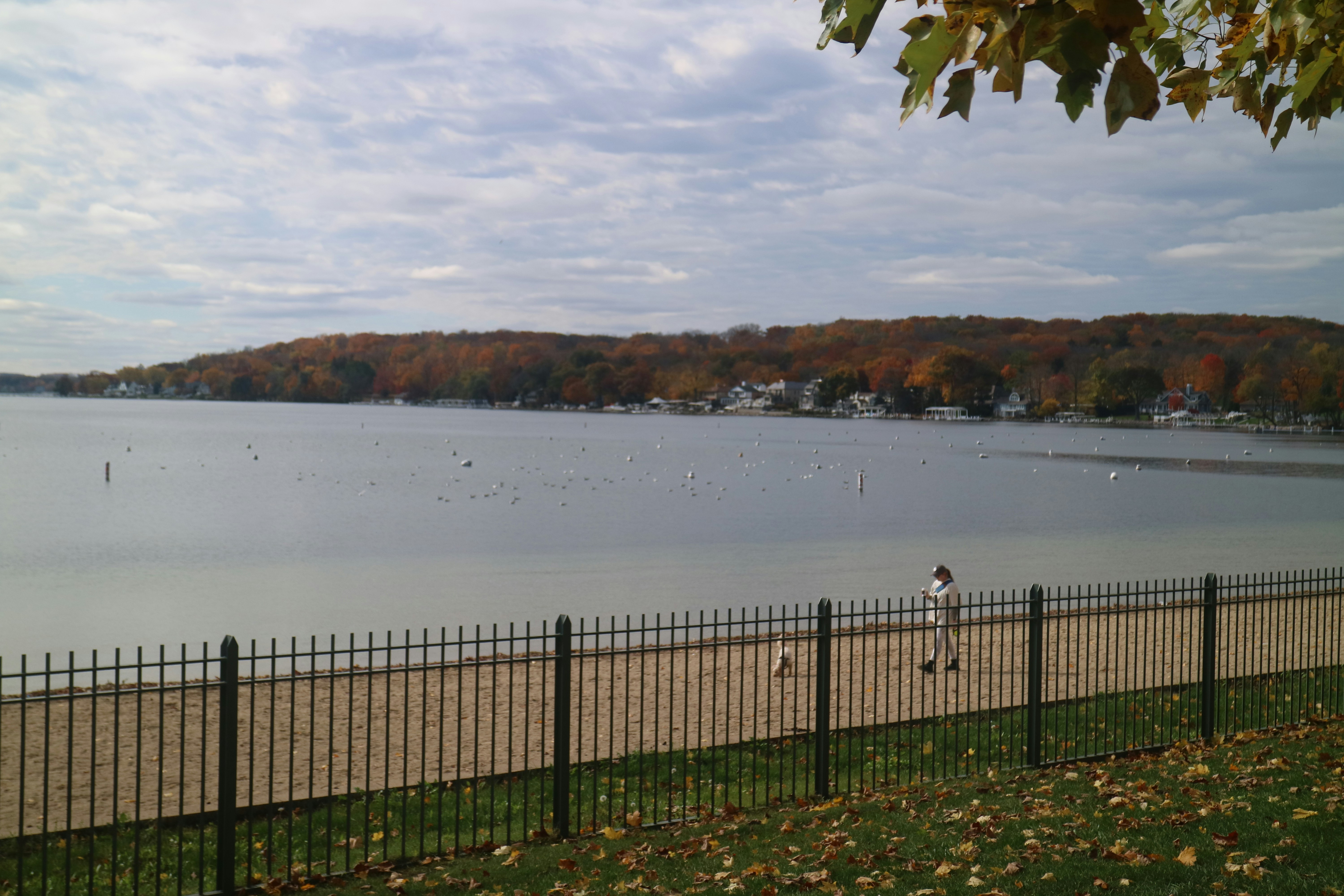 E. V. Mercer Beach