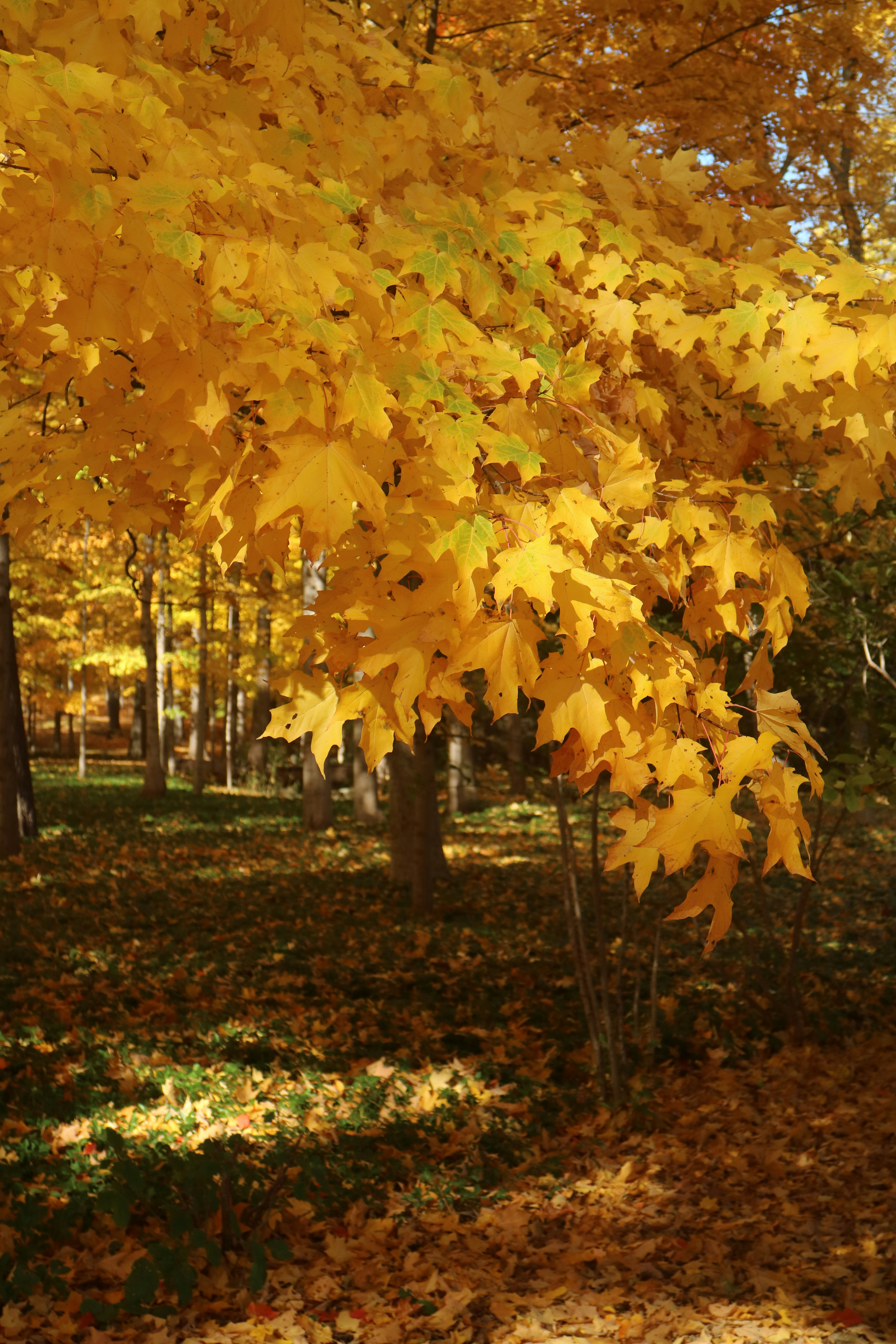 Photo by vincentyuan87