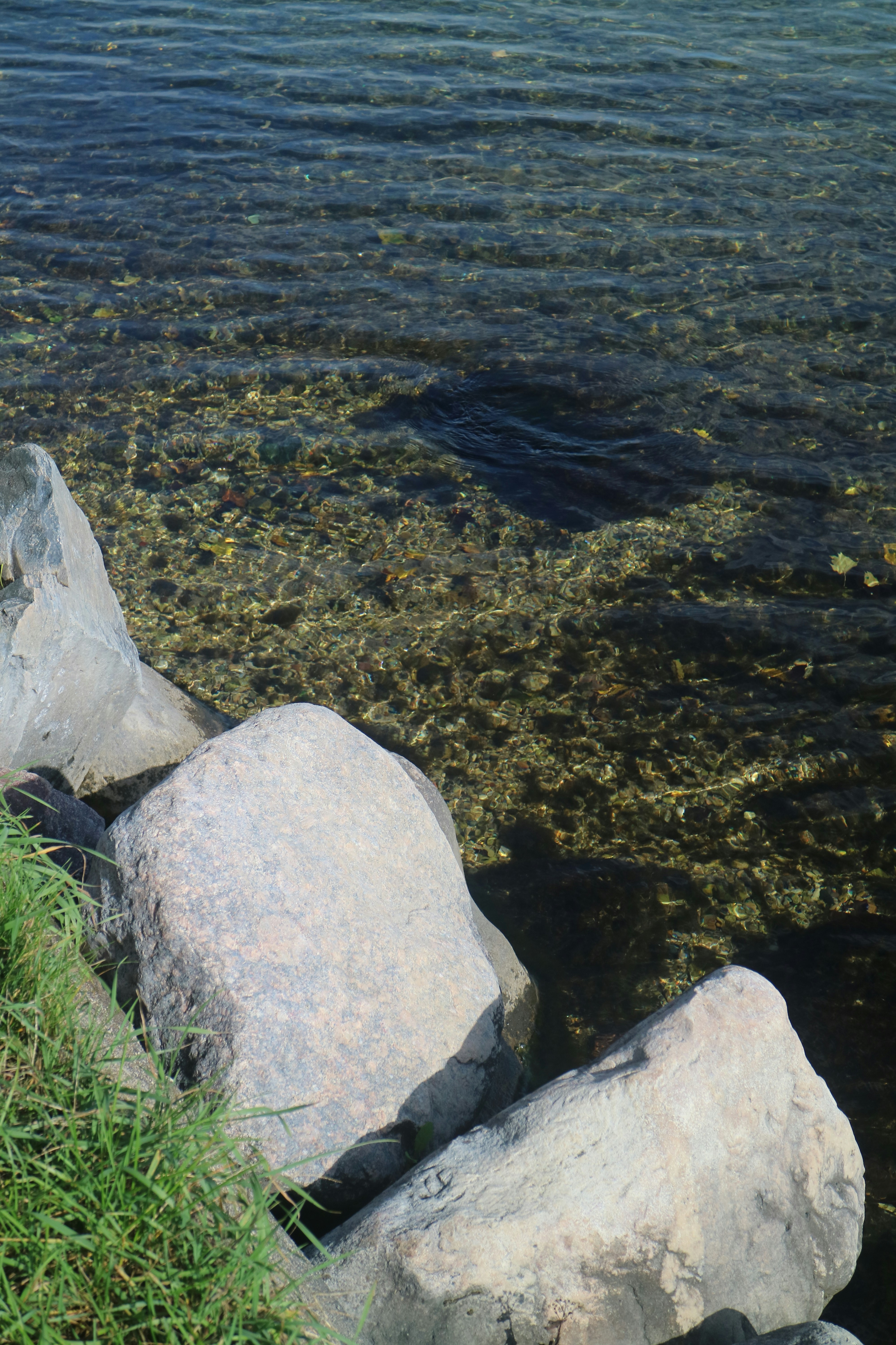 Photo by vincentyuan87