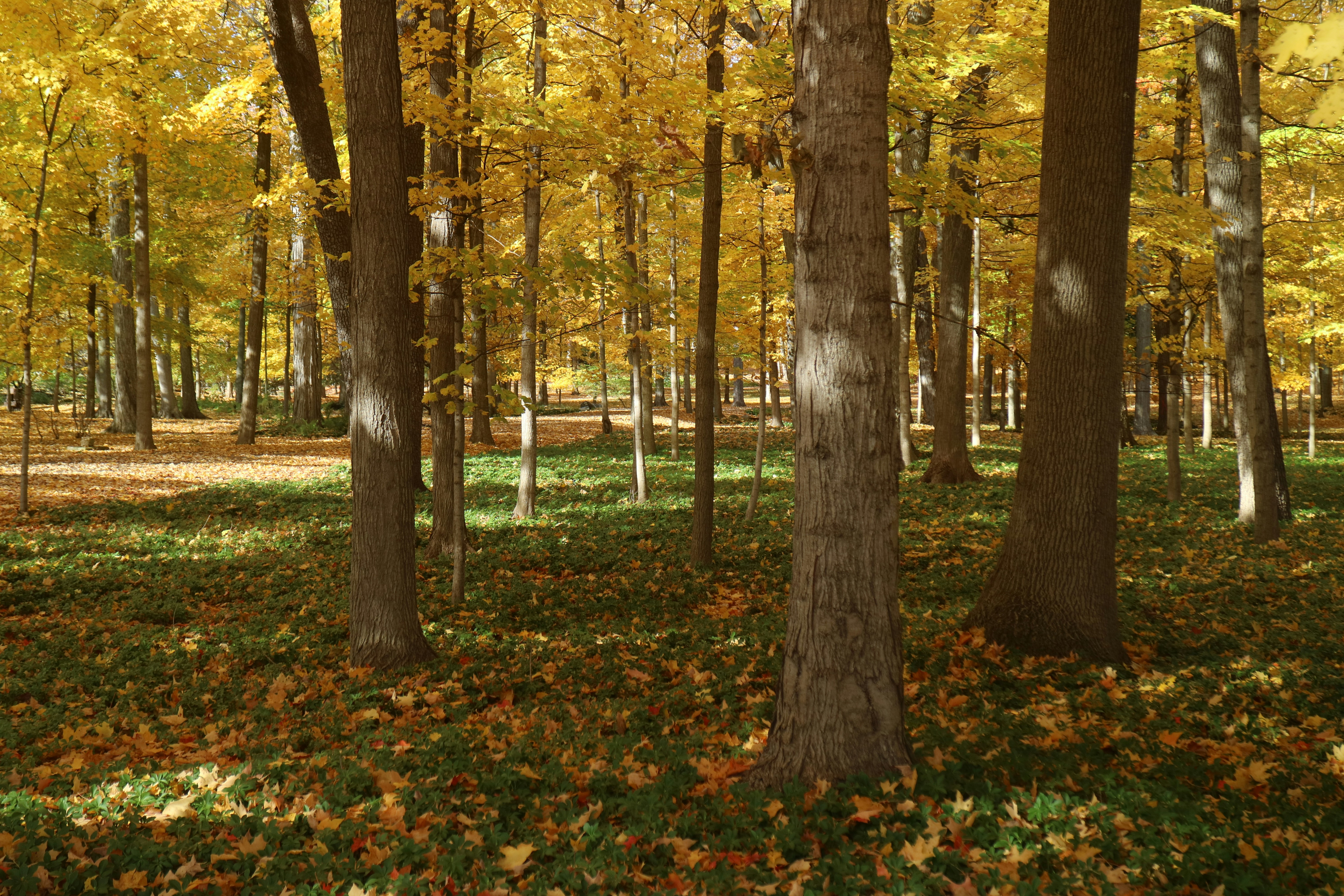 Photo by vincentyuan87