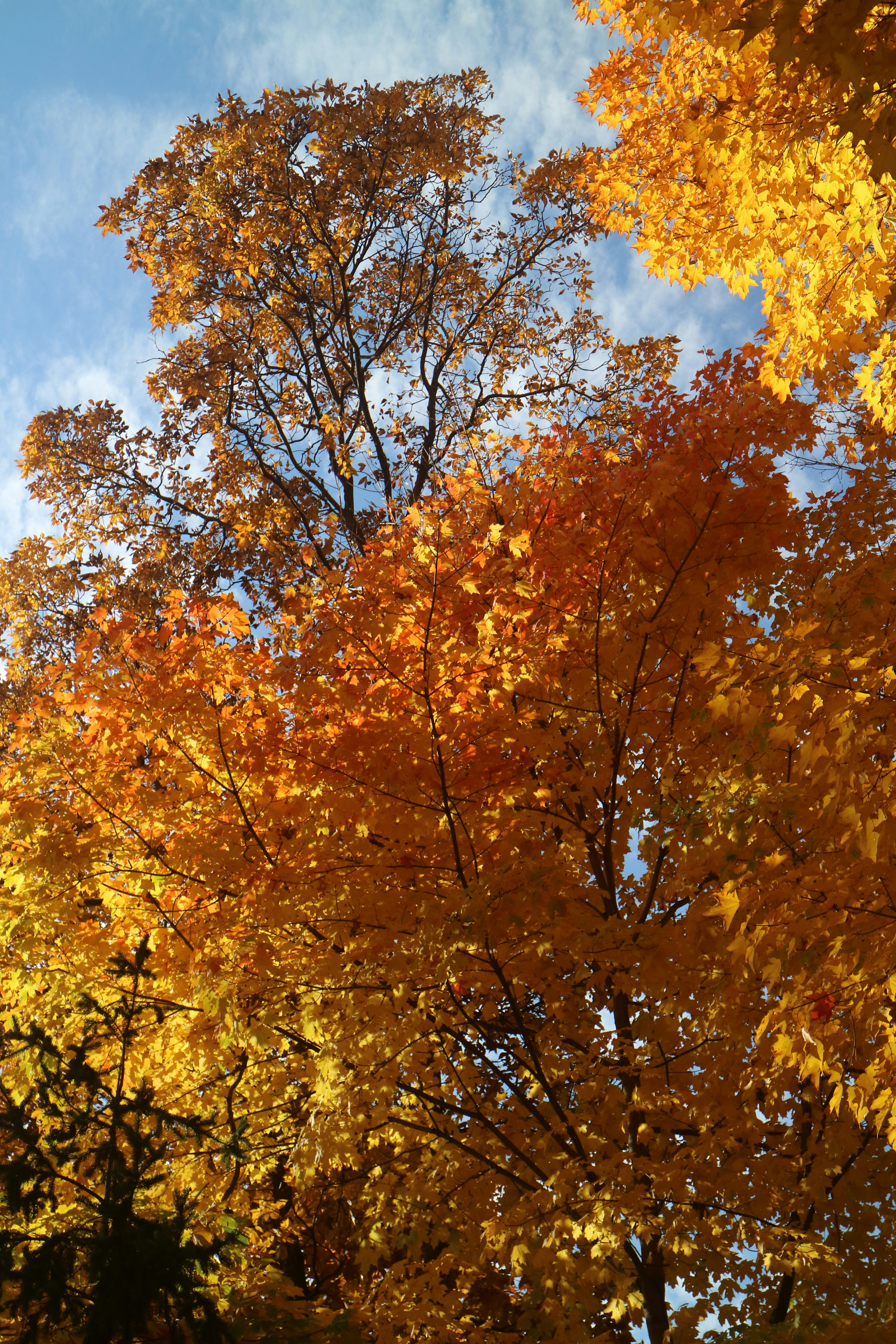 Photo by vincentyuan87