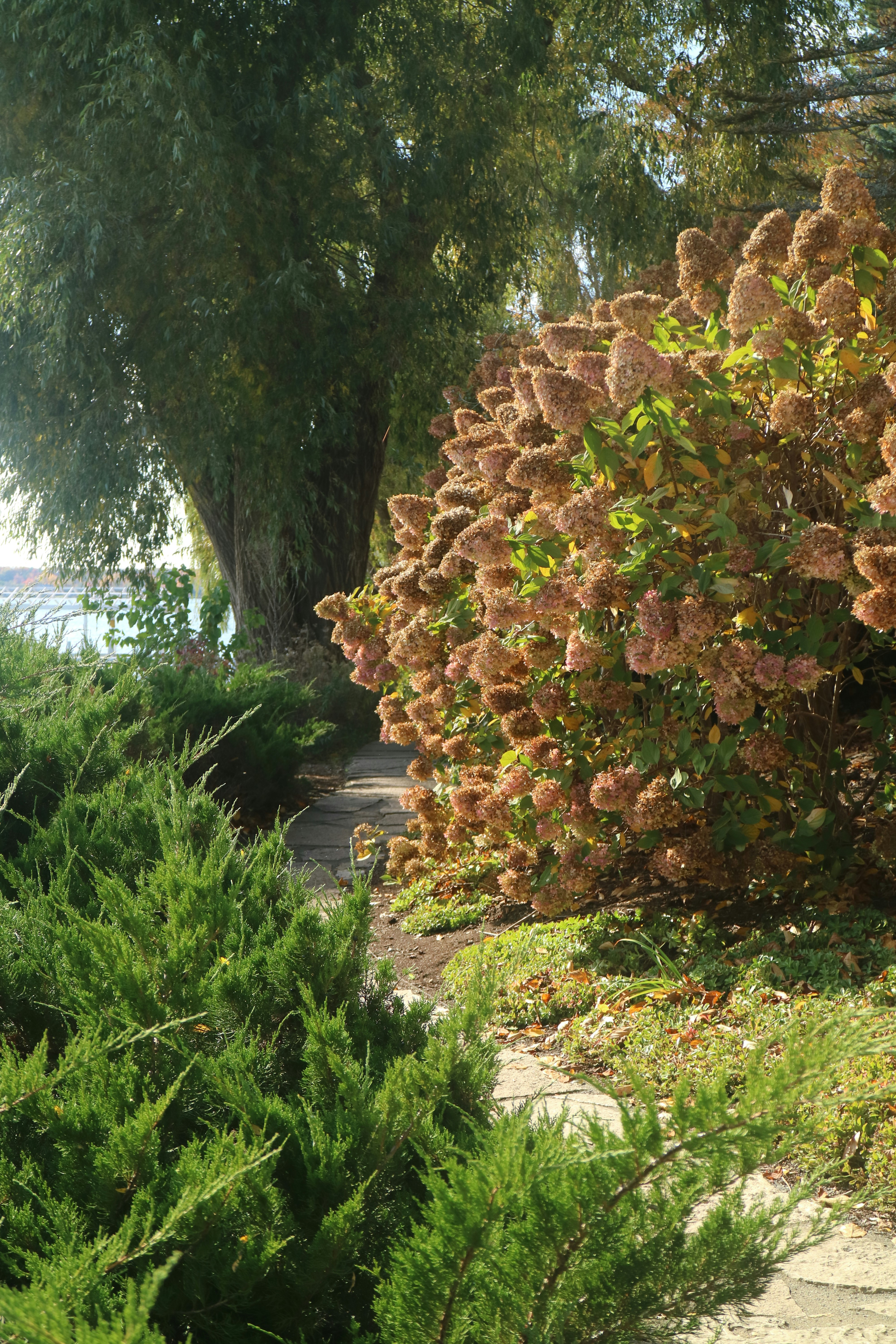 Photo by vincentyuan87