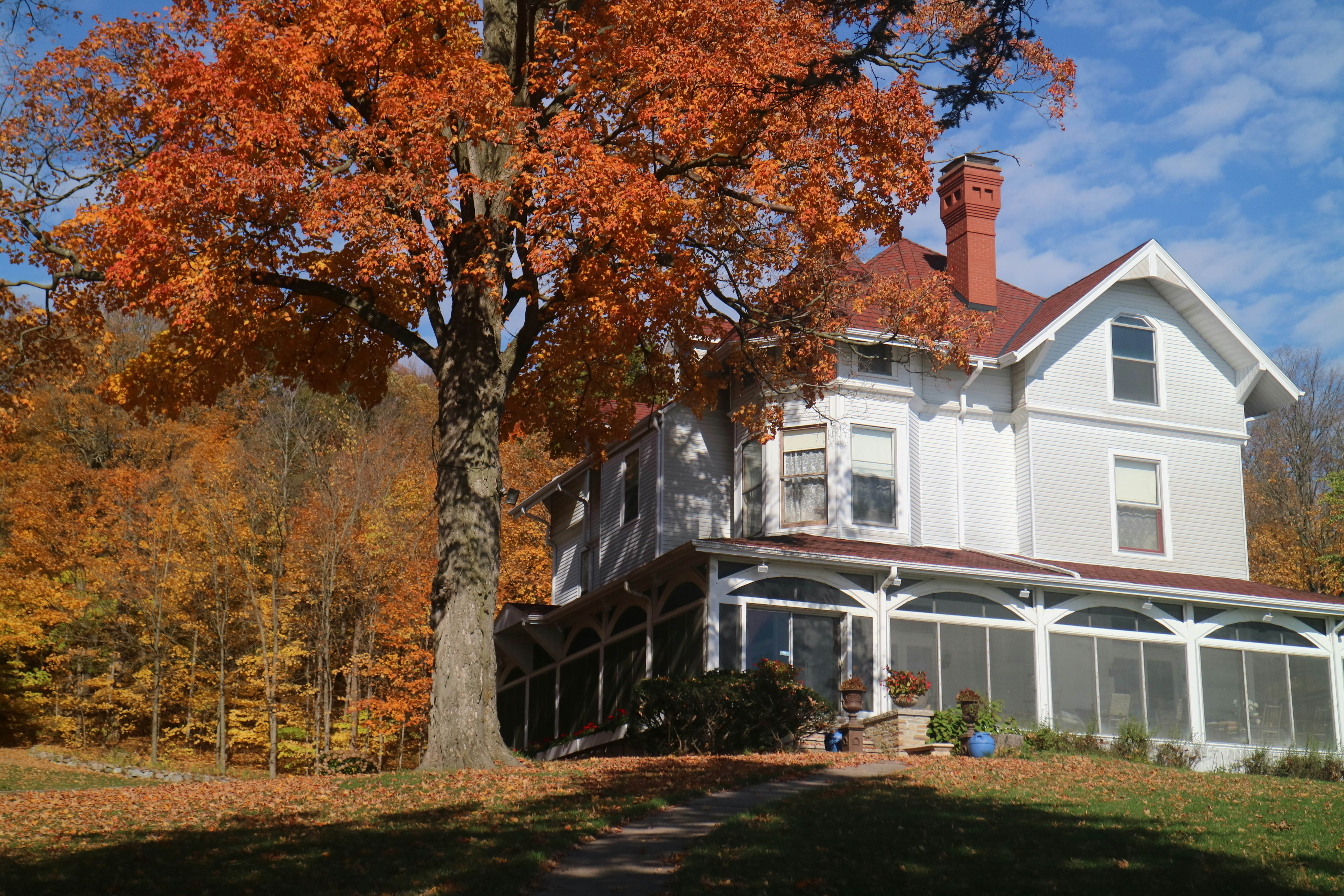 Photo by vincentyuan87