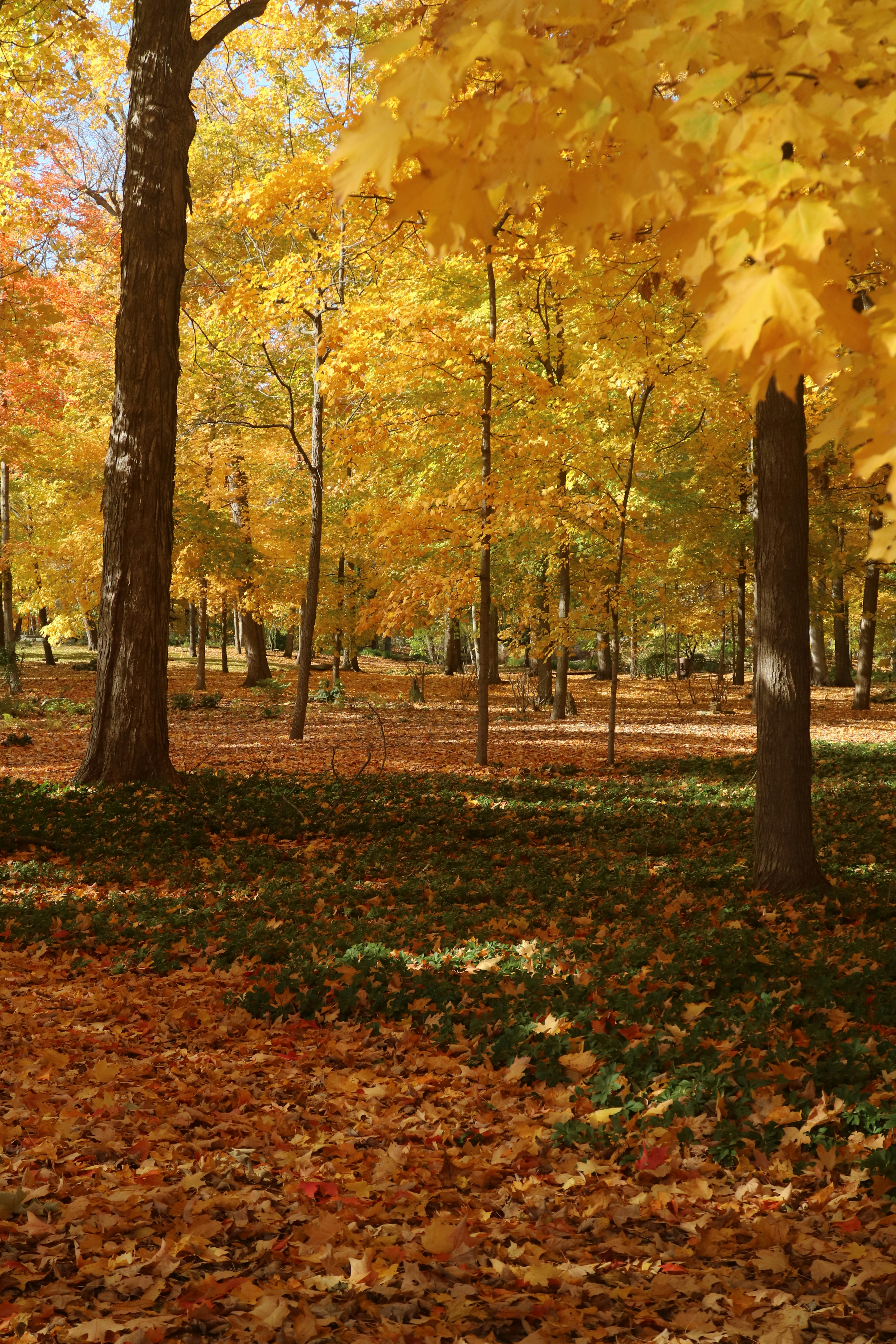 Photo by vincentyuan87