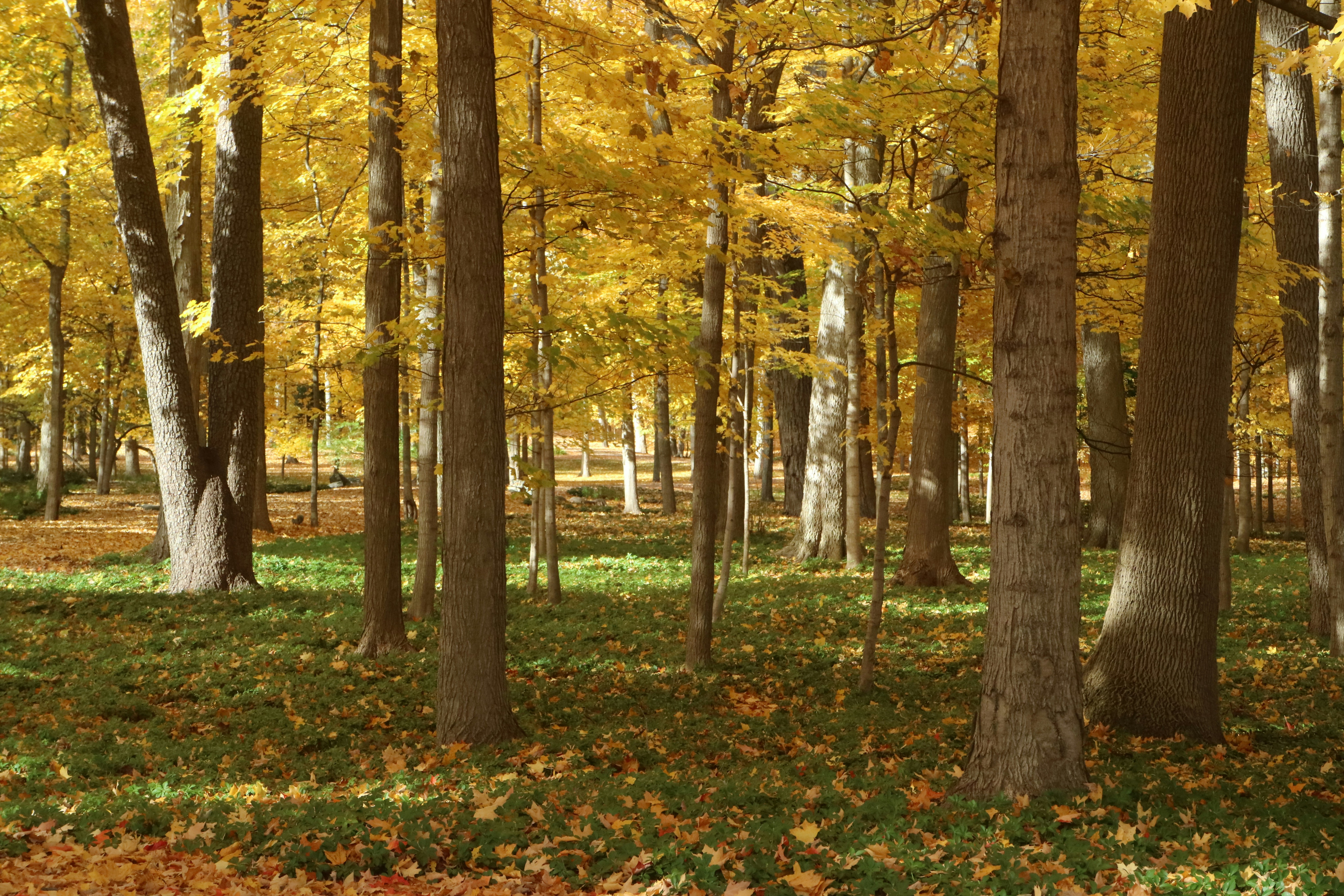 Photo by vincentyuan87