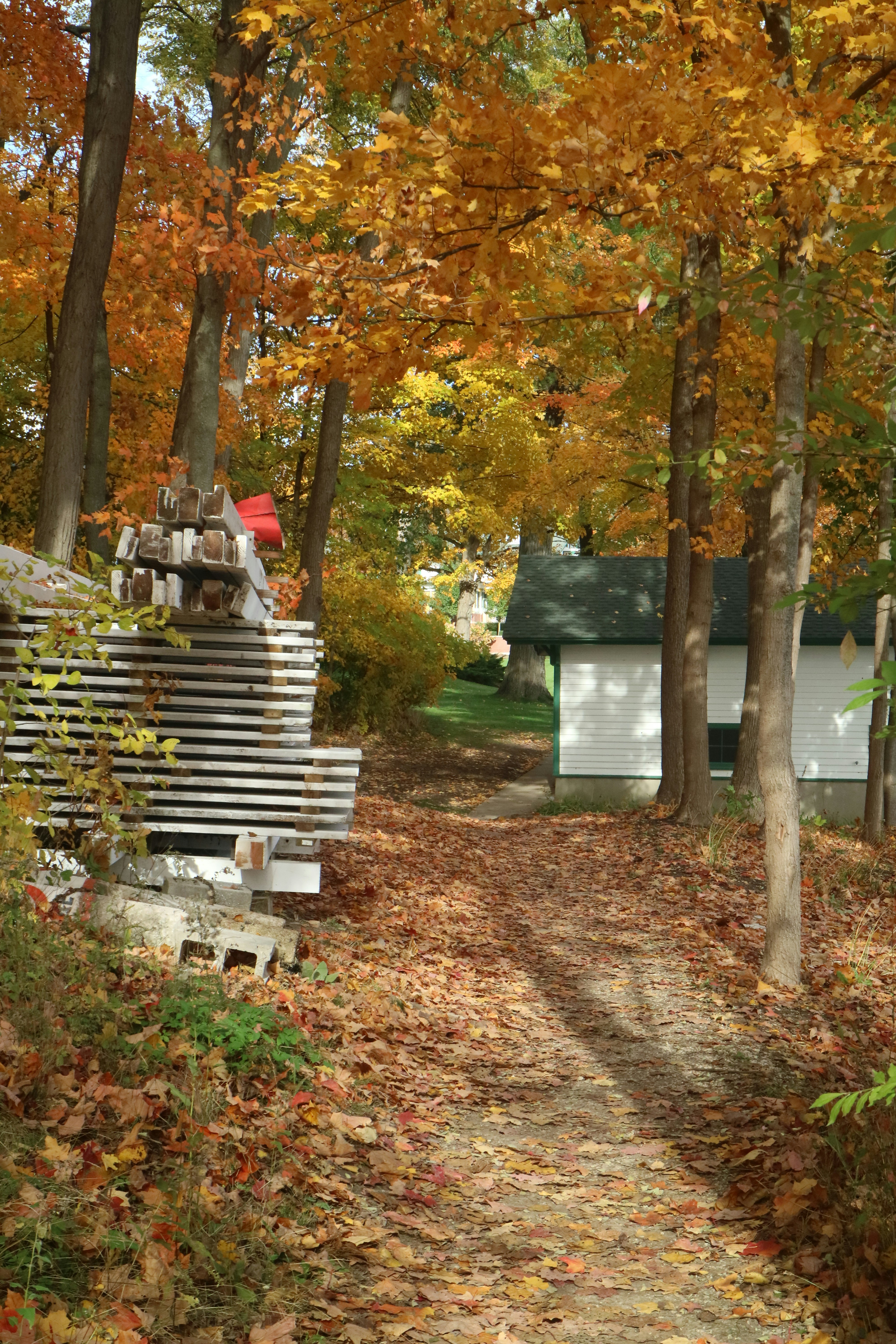 Photo by vincentyuan87