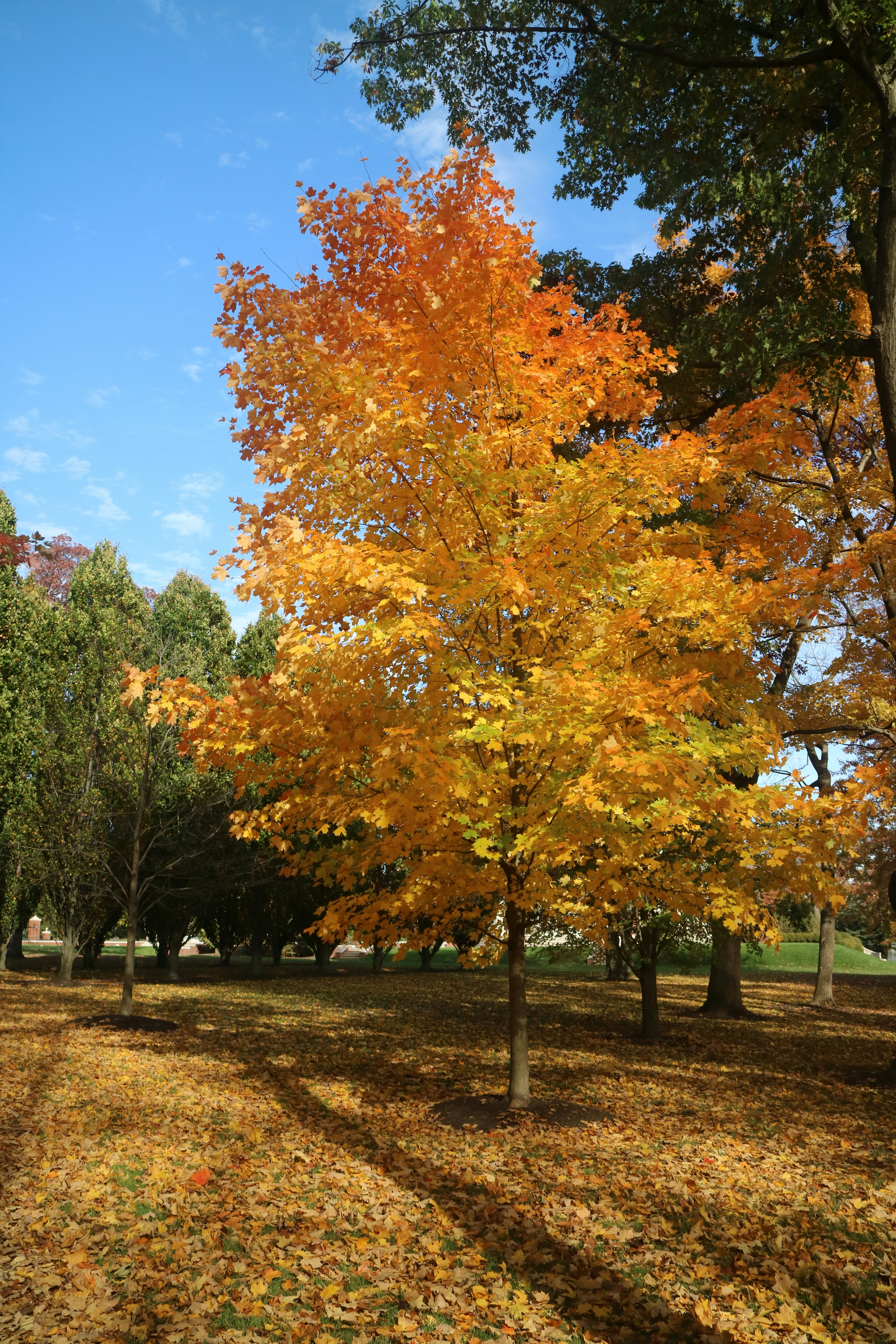 Photo by vincentyuan87