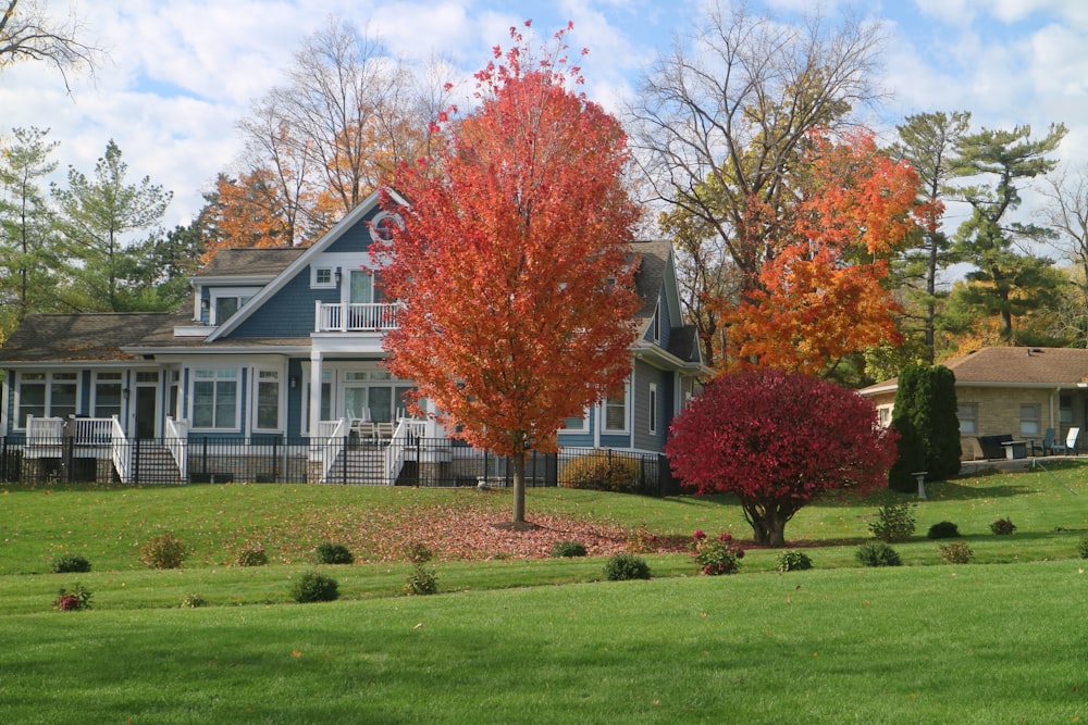 a blue house with a red tree in front of it