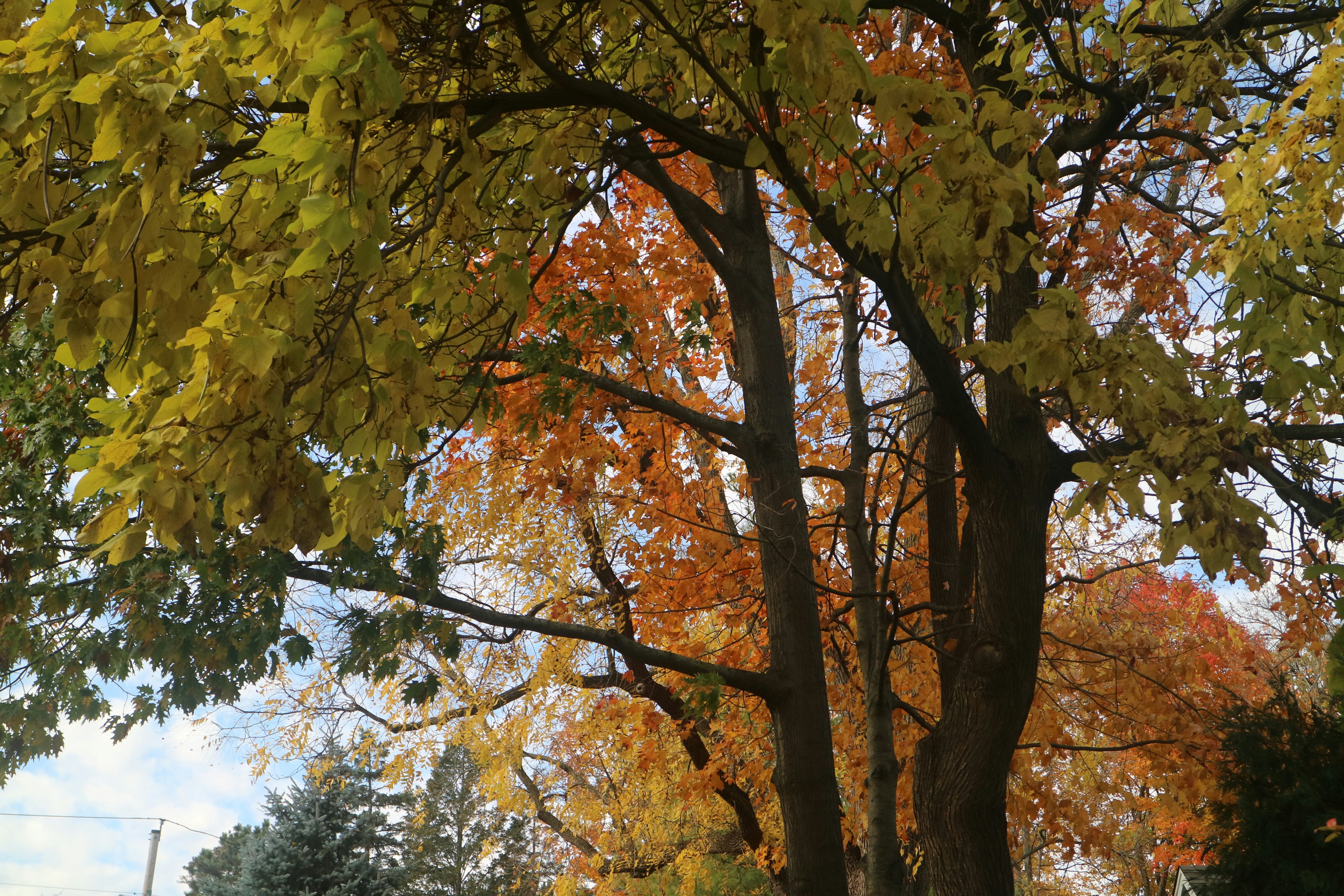 Photo by vincentyuan87