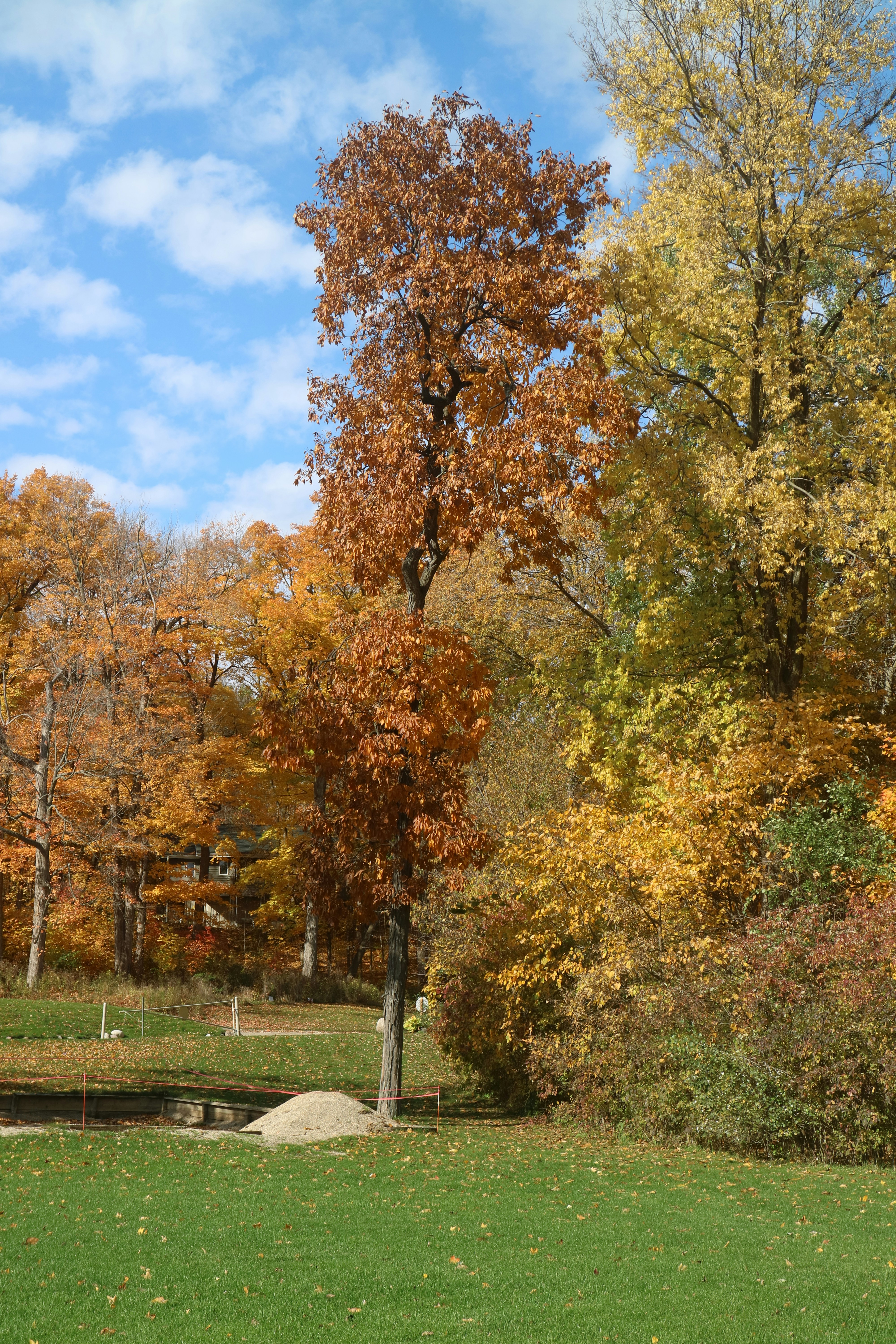 Photo by vincentyuan87