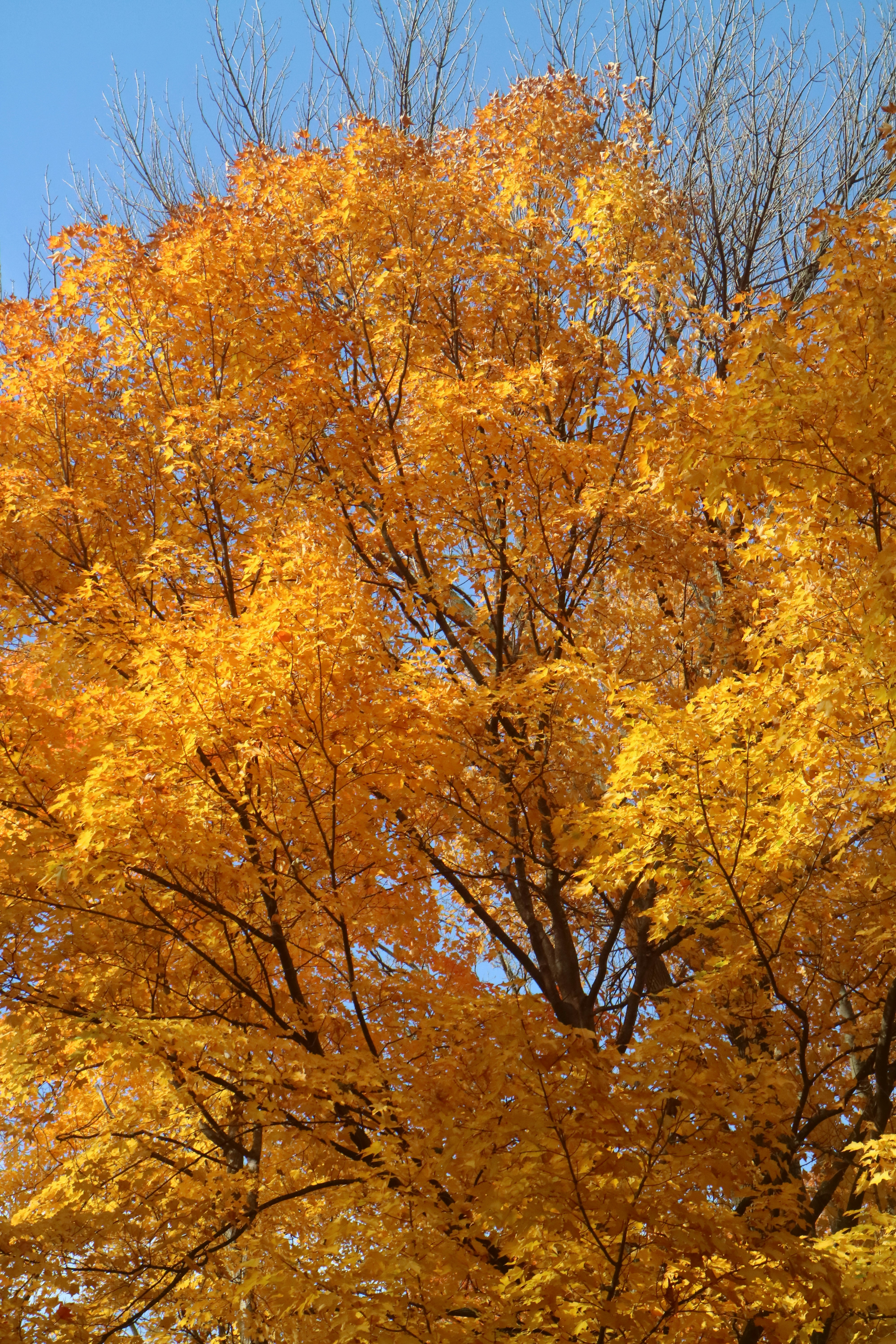 Photo by vincentyuan87