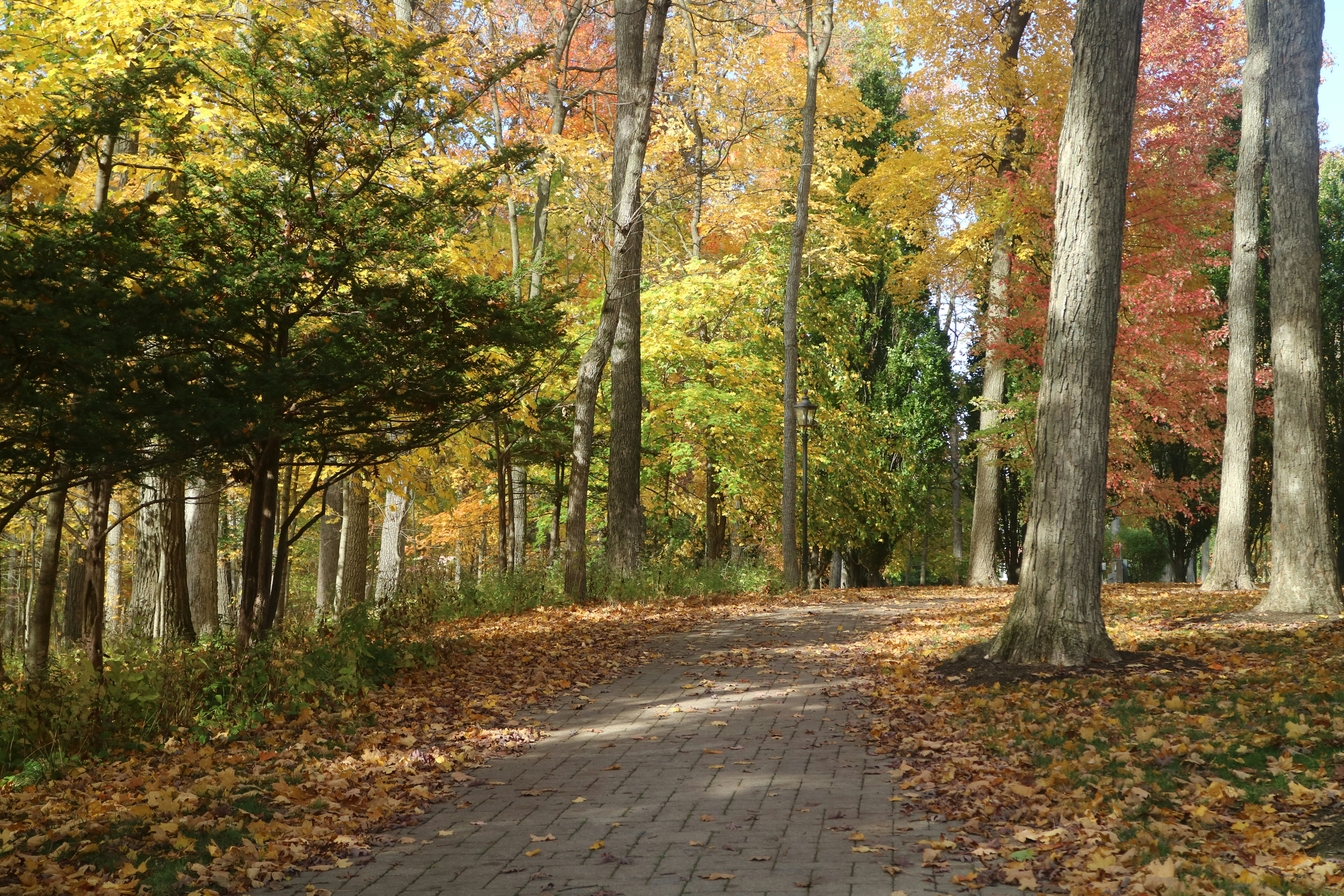 Photo by vincentyuan87